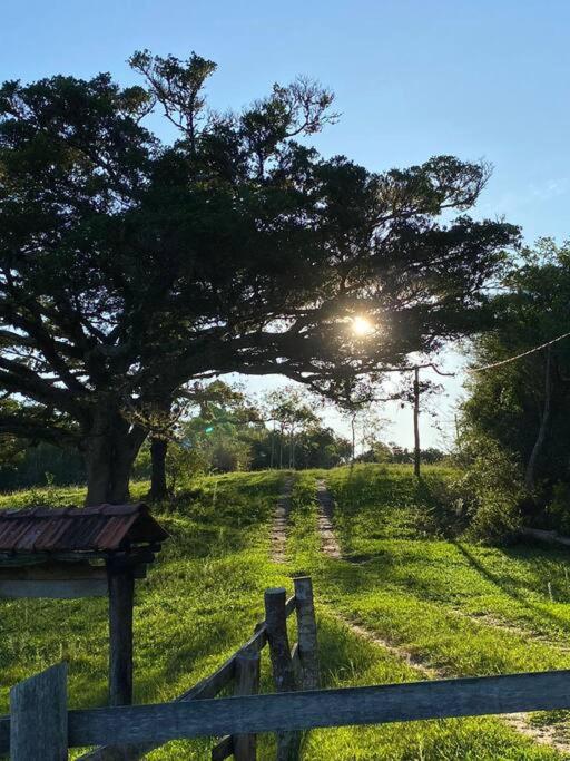 Um Chalé aconchegante no sítio em meio a natureza.