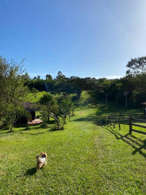 Um Chalé aconchegante no sítio em meio a natureza.