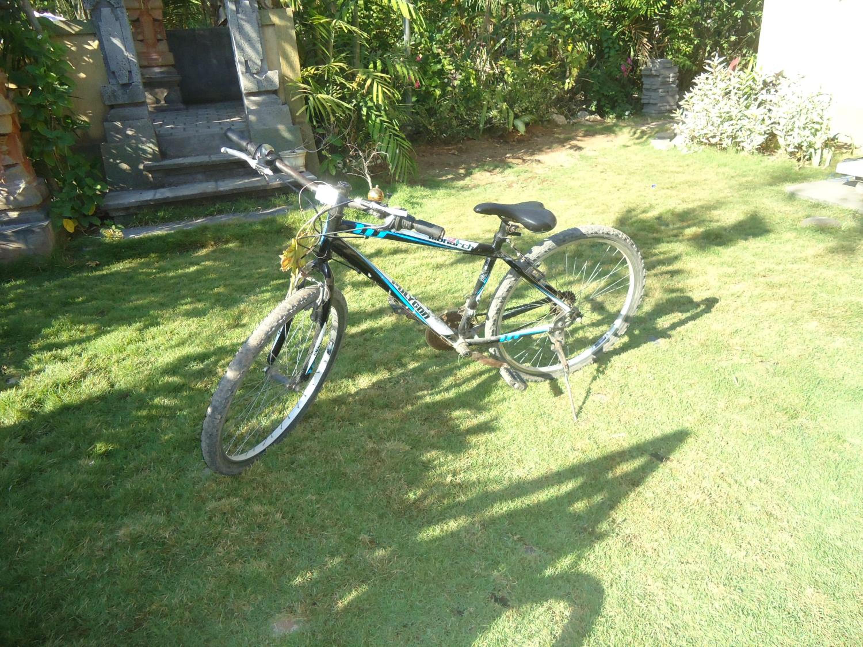 Photo 176
