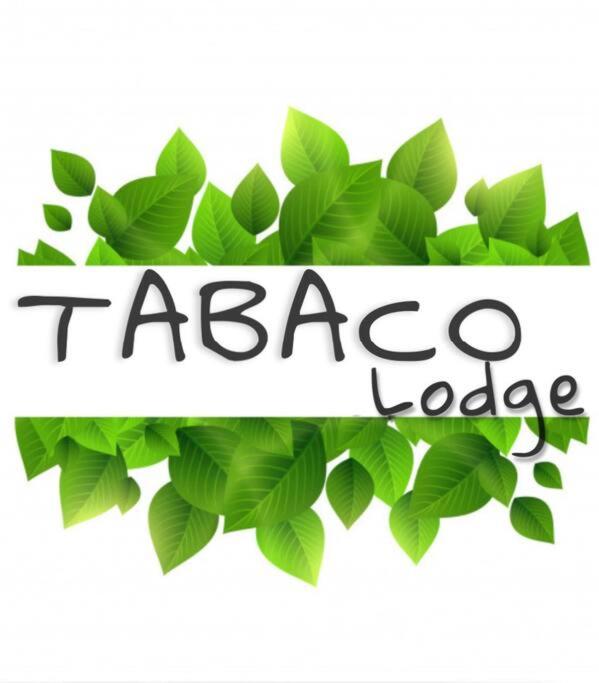 Tabaco Studio a solo 5 minutos de Playa Carrillo