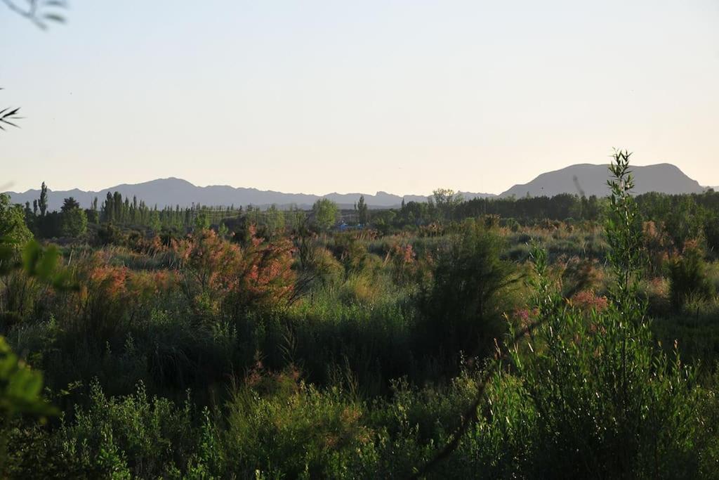 Cabaña Quinta La Gringa, San Rafael