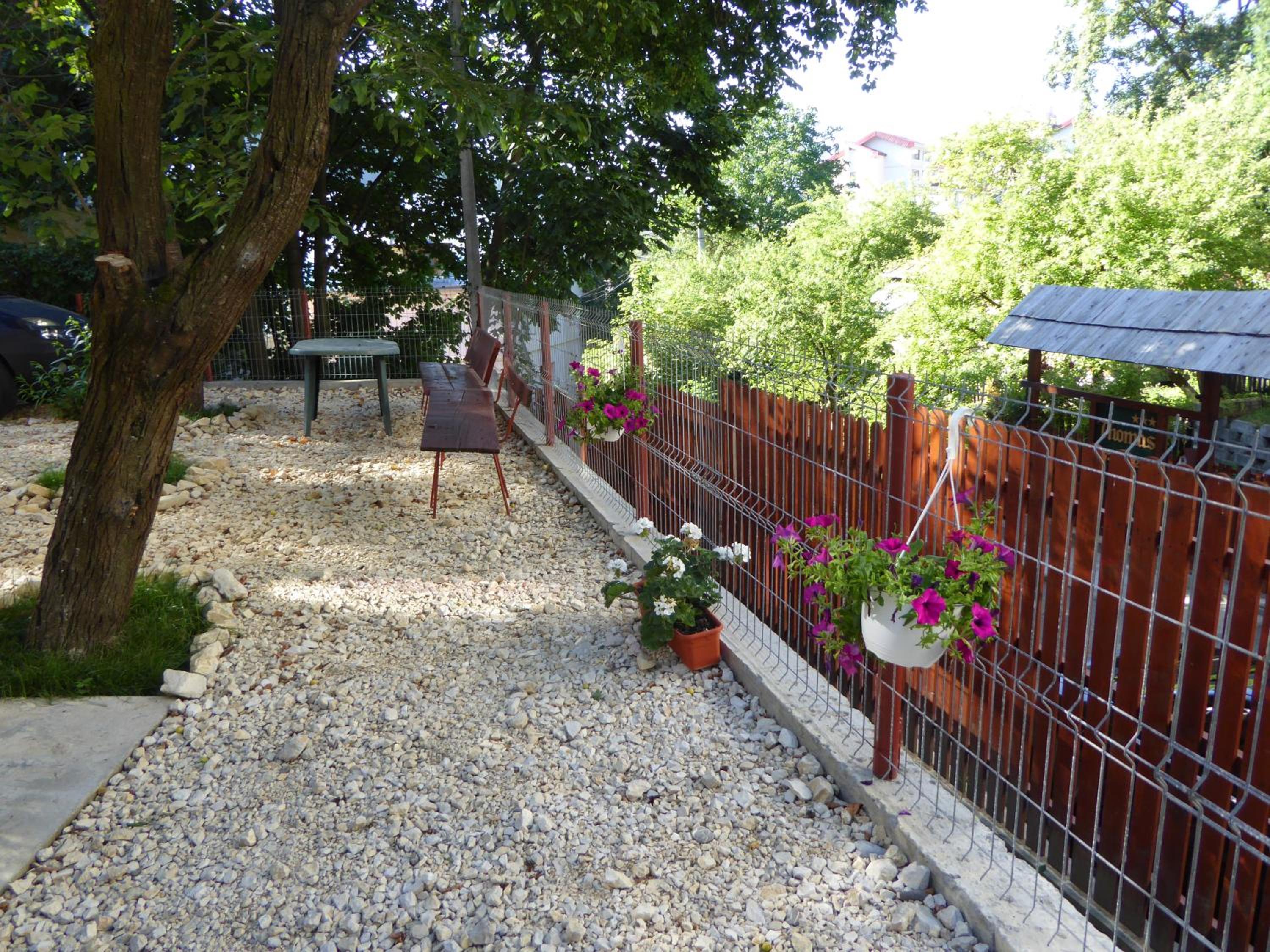 Photo 31