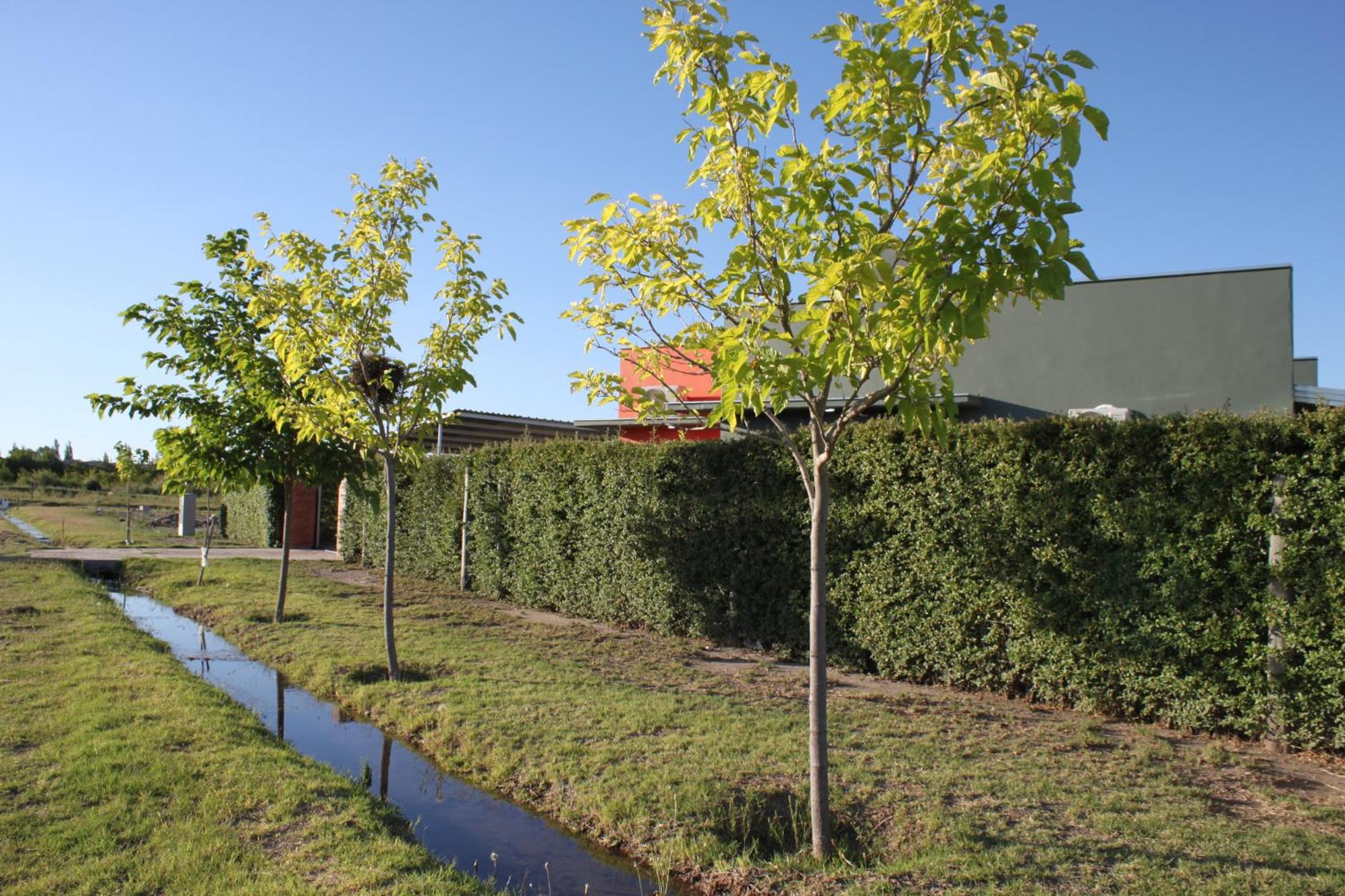 Casas Lago del Diamante
