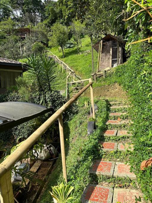 Cabaña sendero verde