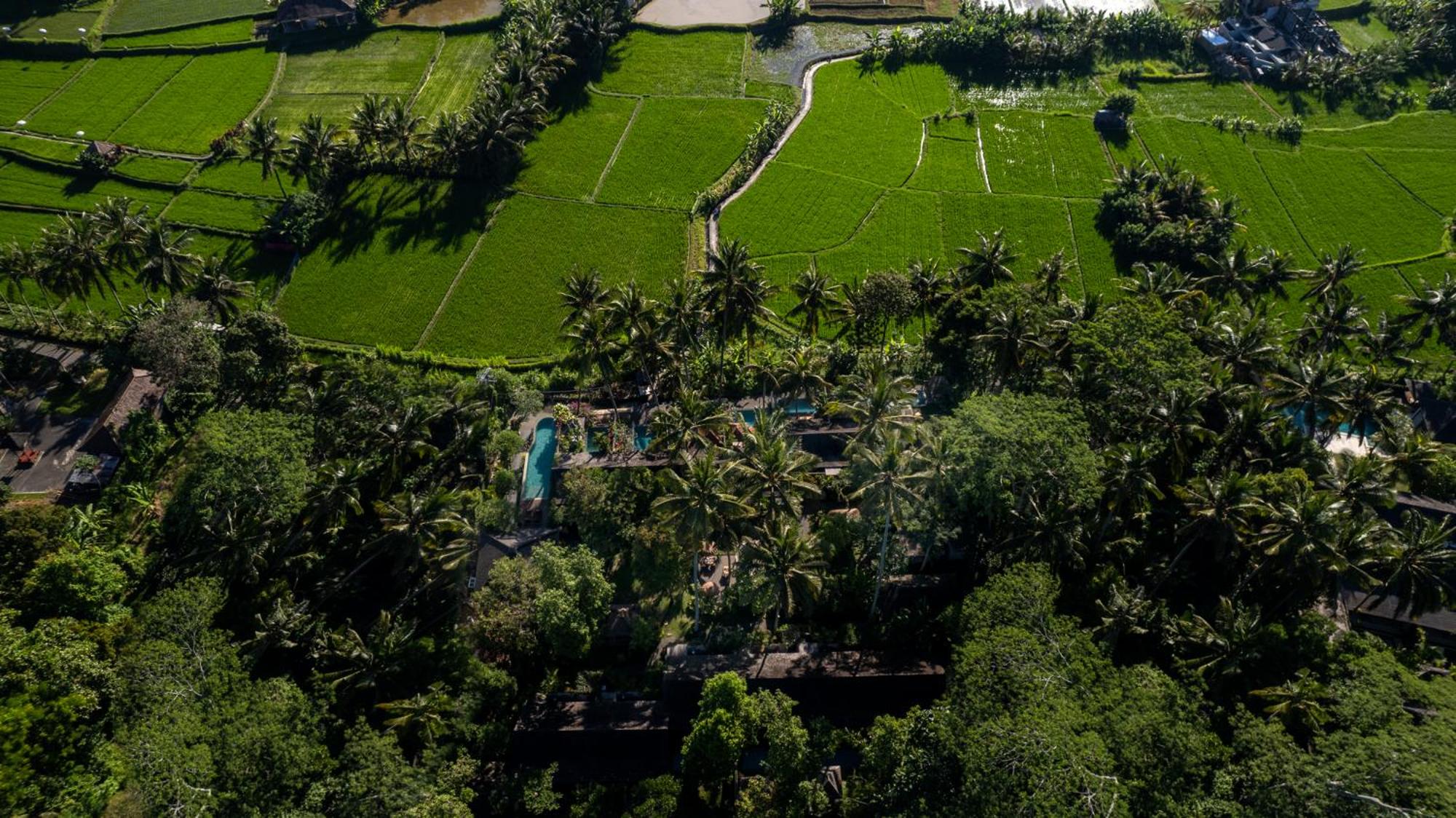Ubud Padi Villas