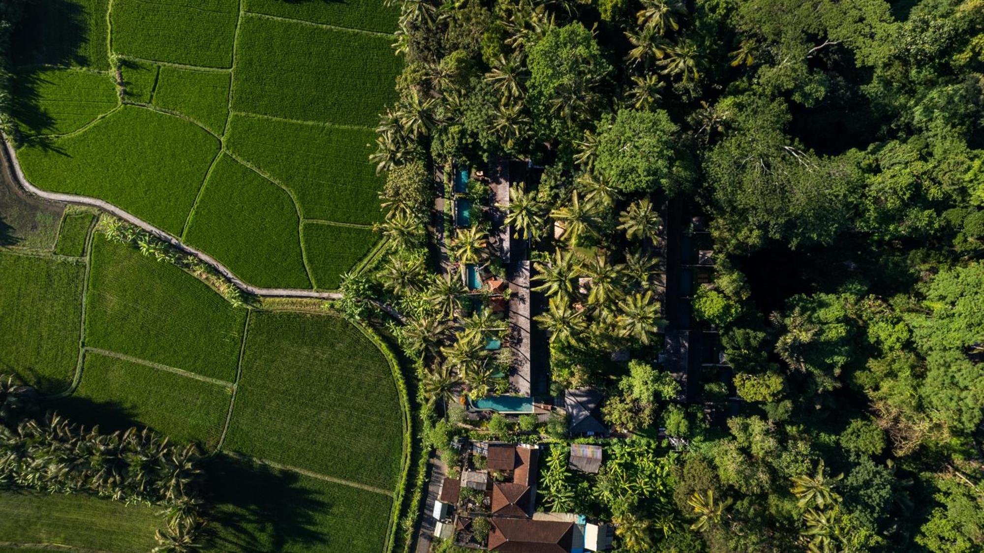 Ubud Padi Villas