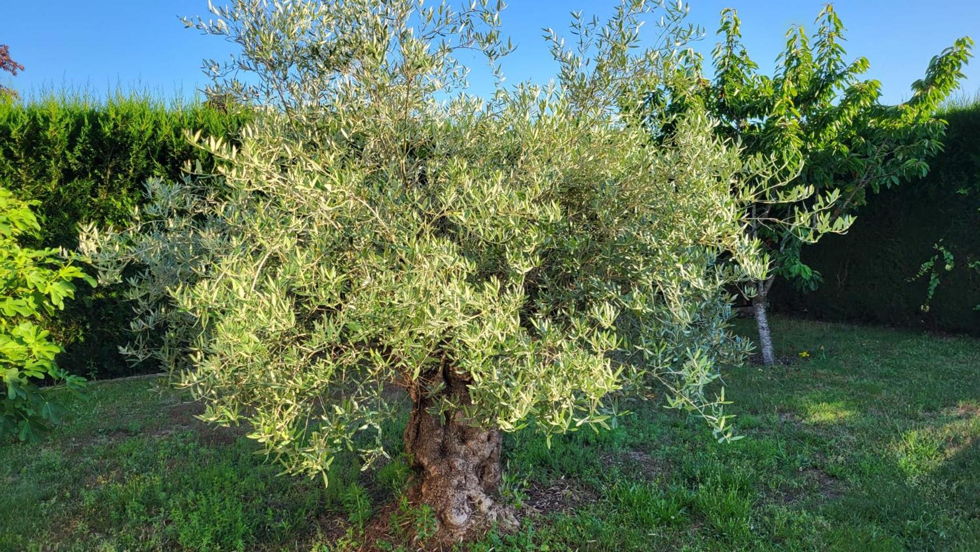 Photo 43