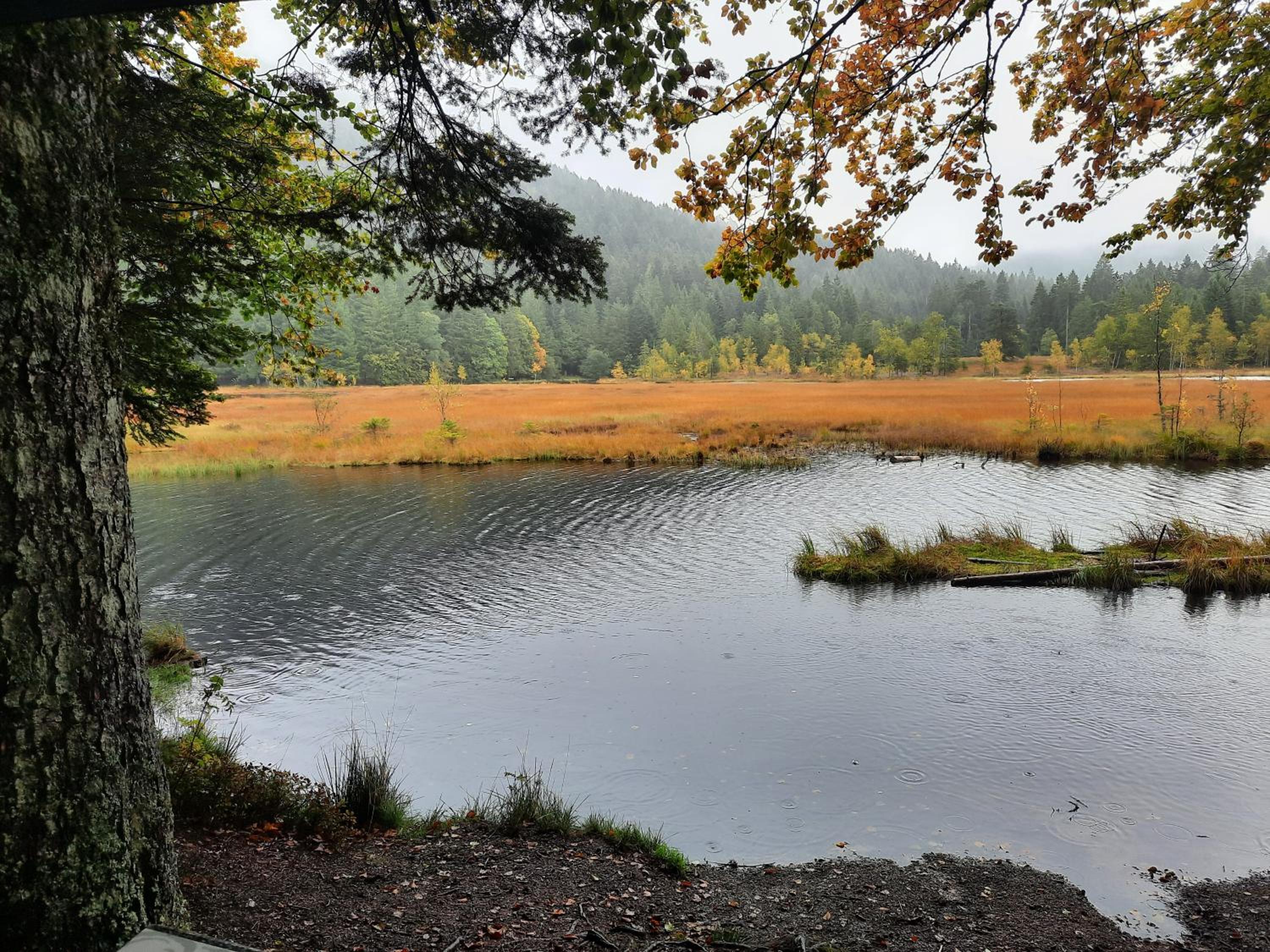 Au Cœur des Lacs - Chambres d'hôtes & spa, photo 5
