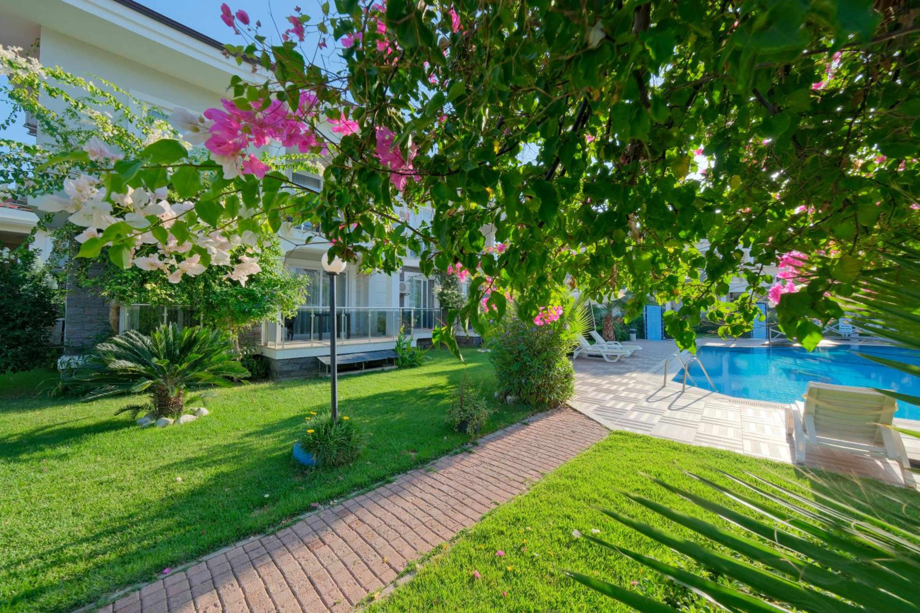 Legend Apartments