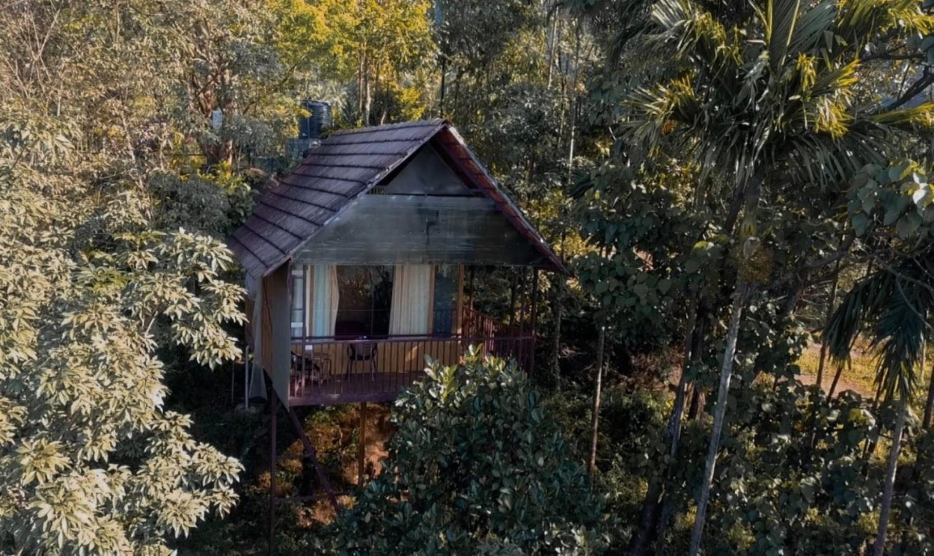 Fortune Holiday Resort& Home stay Kerala view 2