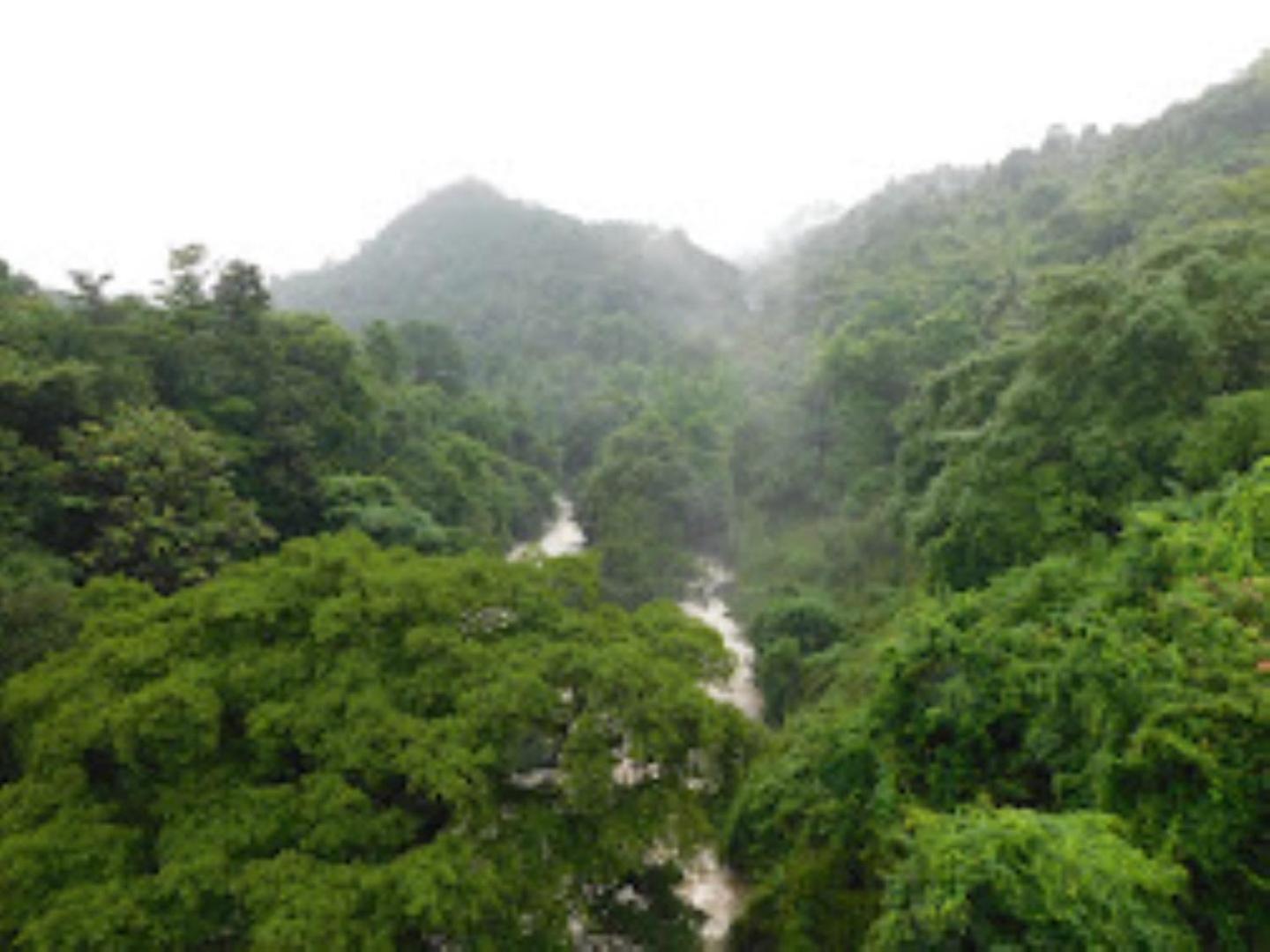 Fortune Holiday Resort& Home stay Kerala view 4
