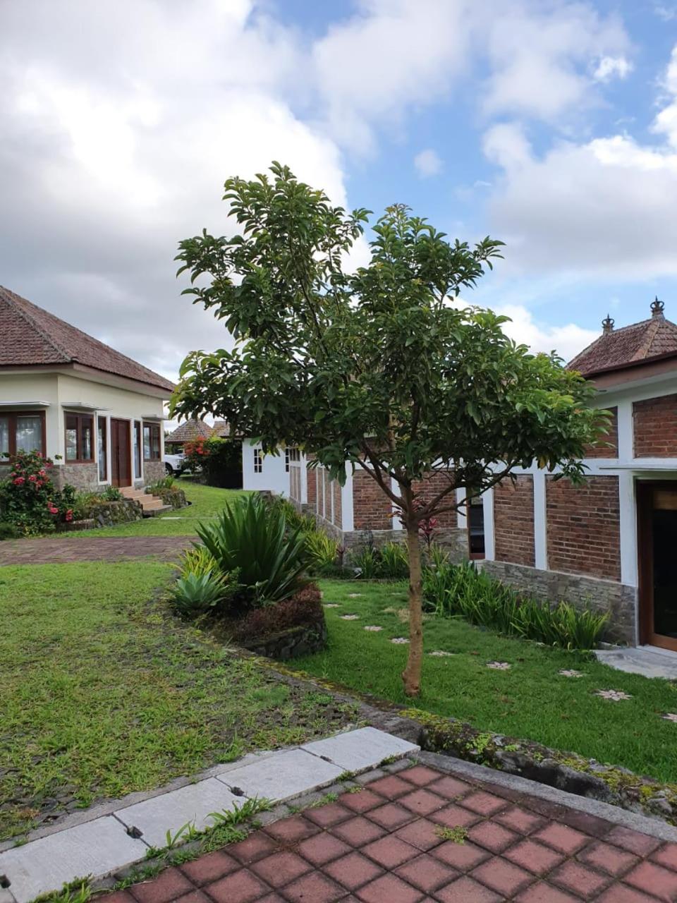 Villa Casa Serenita Batunya Bedugul view 3