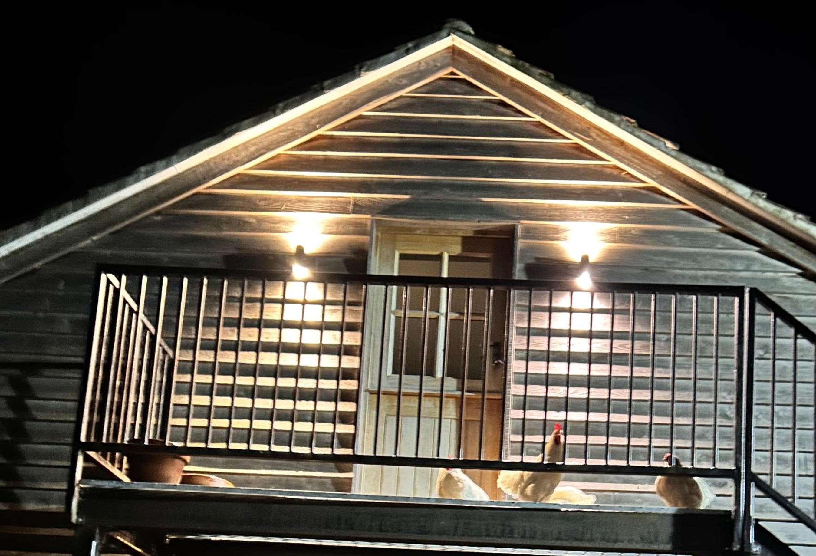 Photo 18