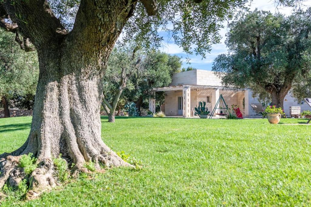 Tenuta Palù By Raro Villas