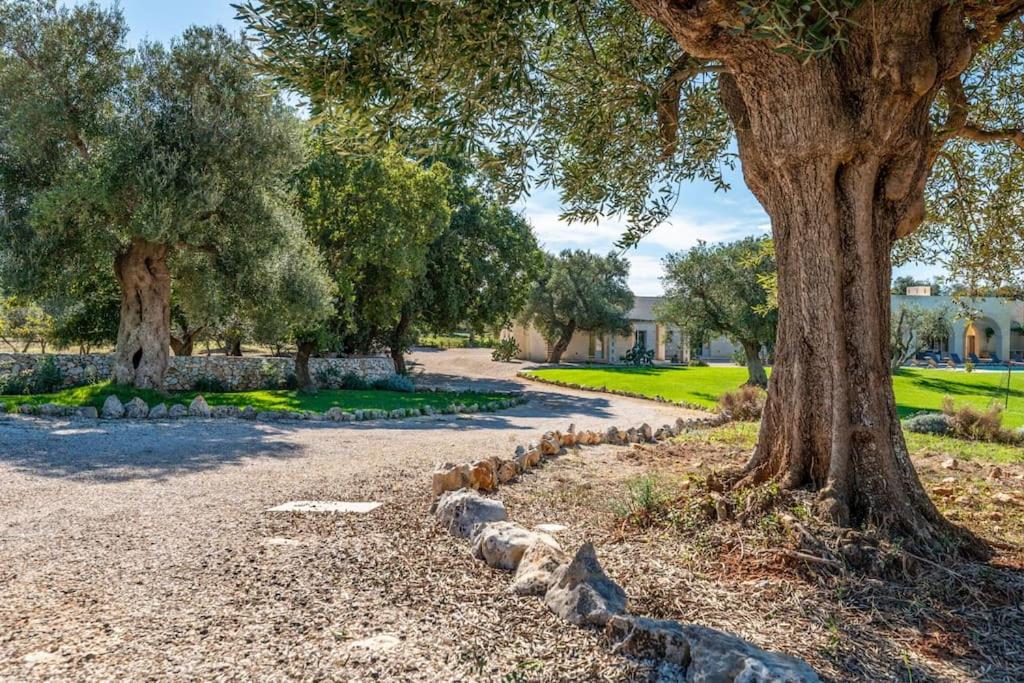 Tenuta Palù By Raro Villas