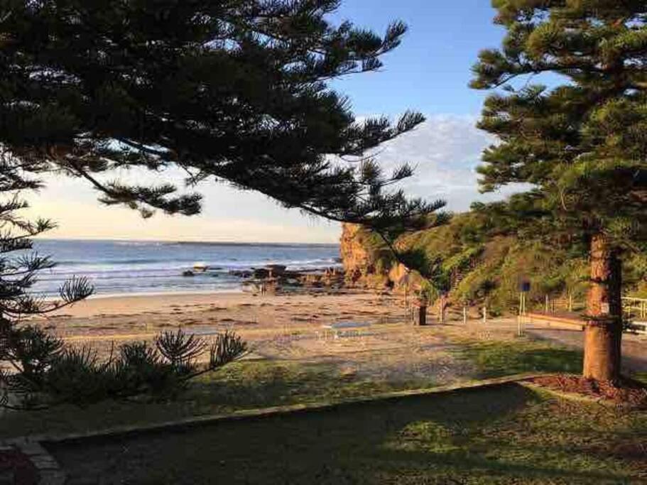 Caves Beach suite with privacy and beach location