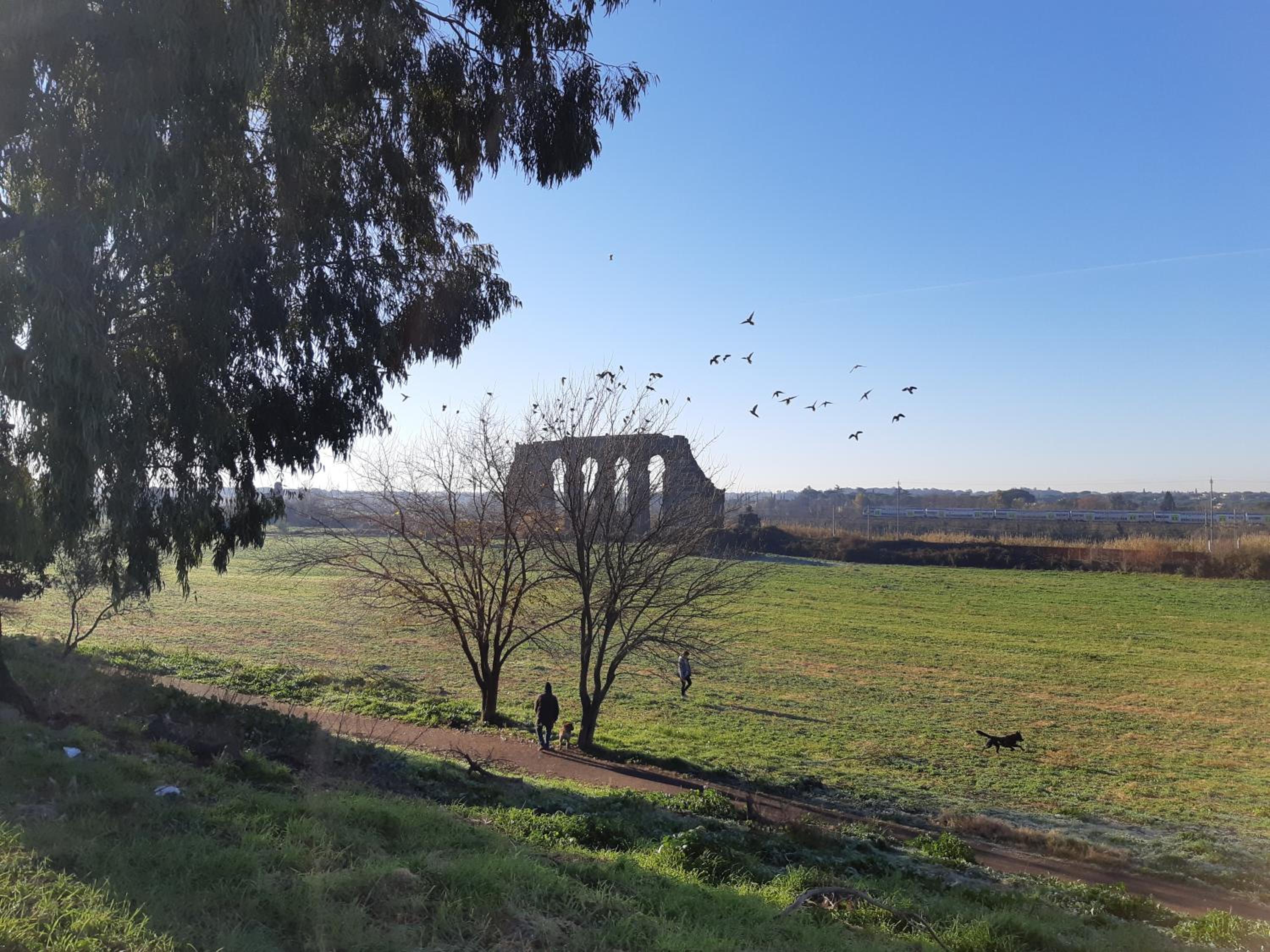 Appartamento agli Acquedotti, con giardino privato