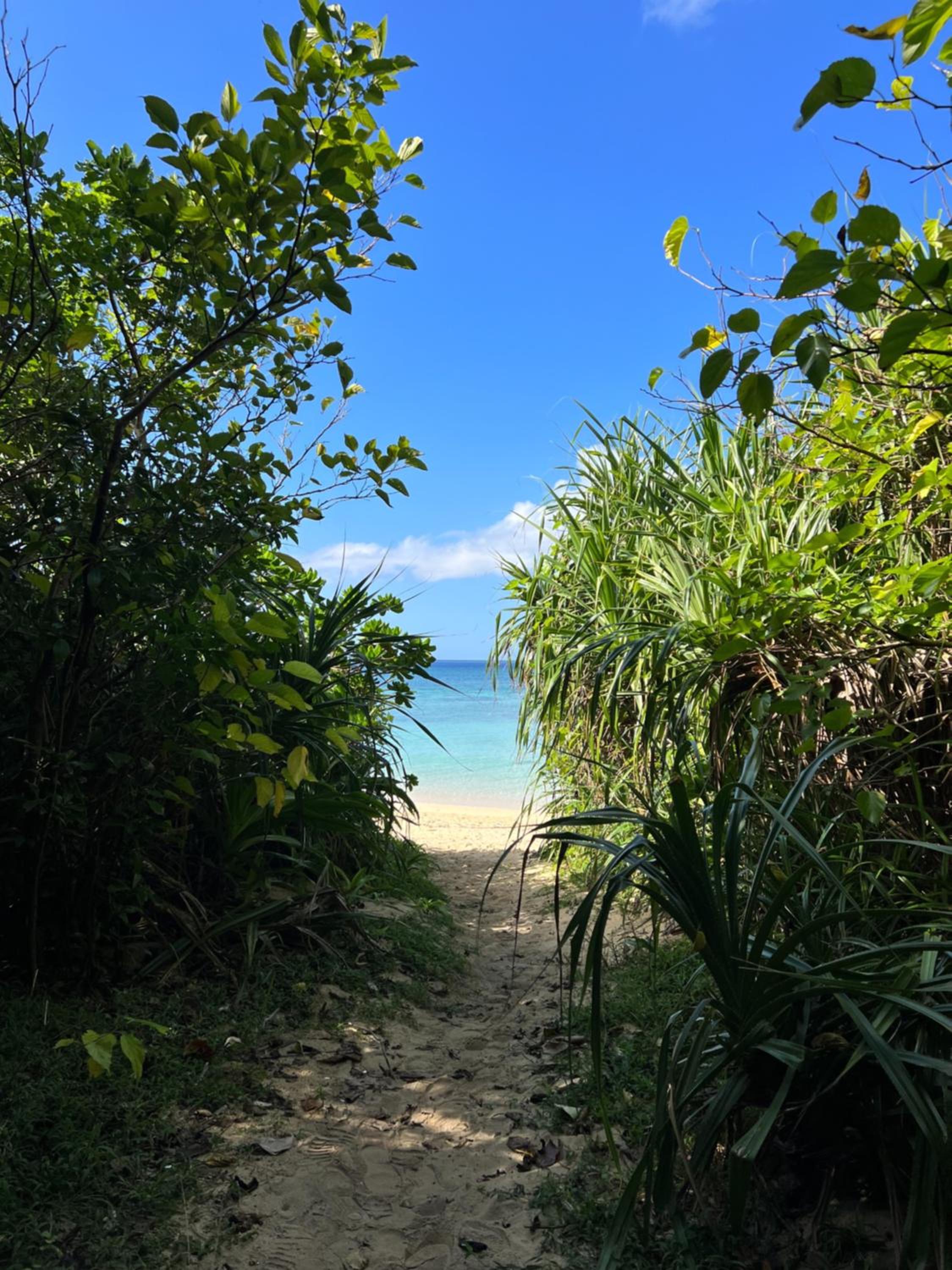 HoshinoHana ~ Beach house~ view 4