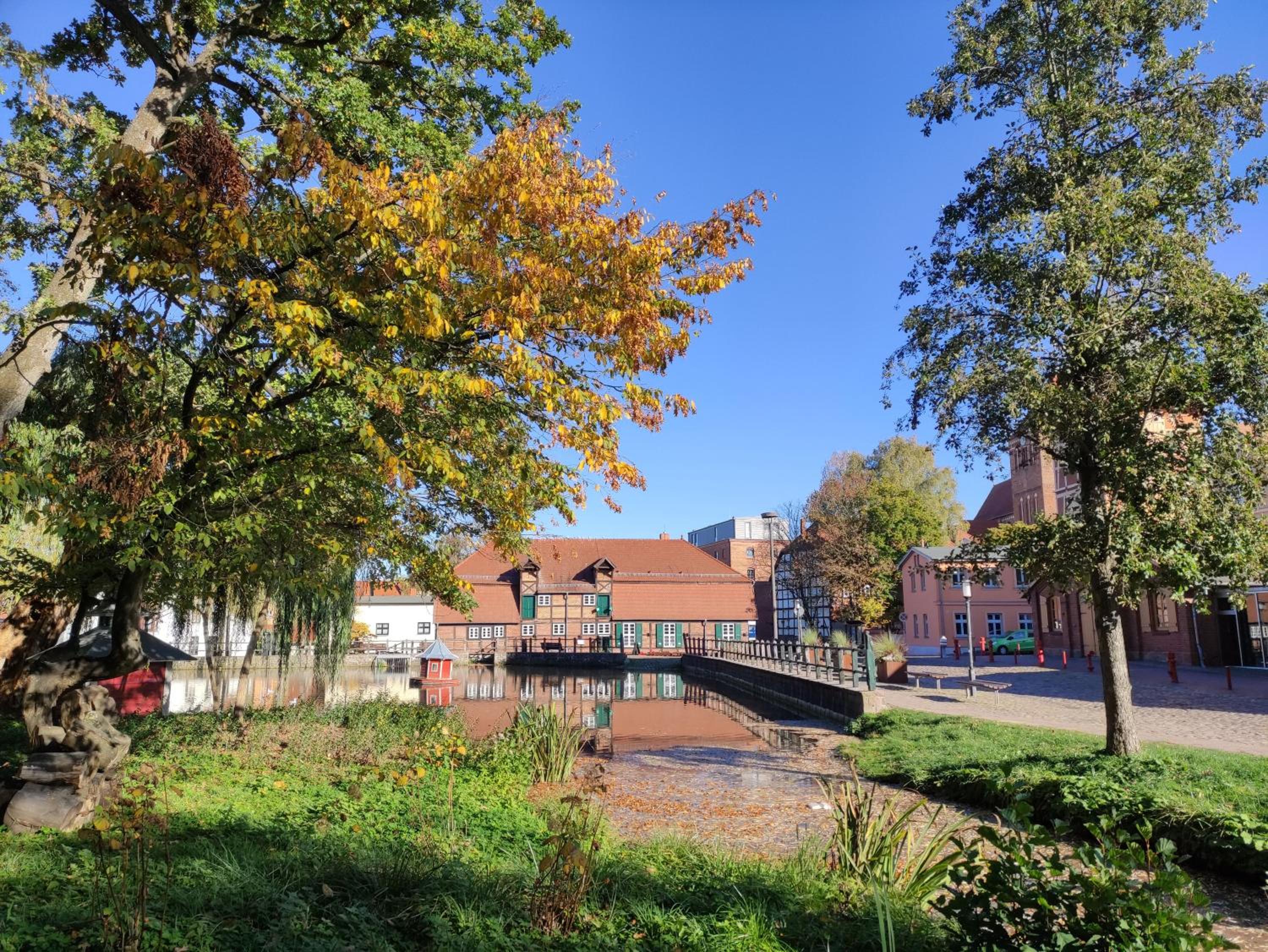 Ferienhaus am Mühlenteich