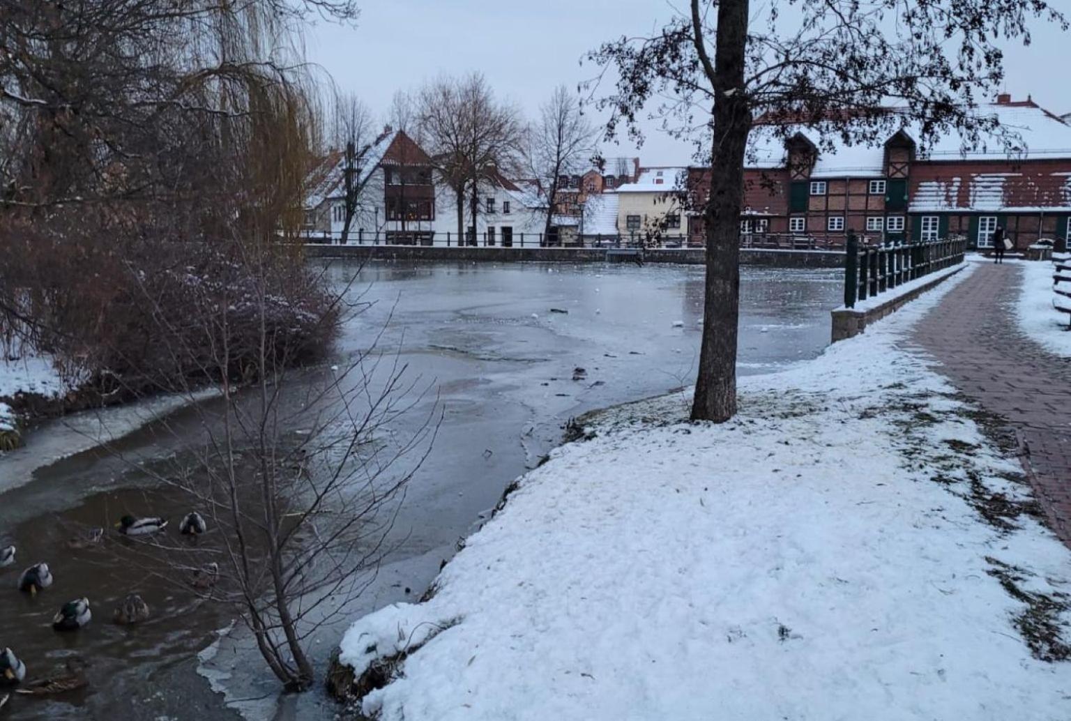 Ferienhaus am Mühlenteich