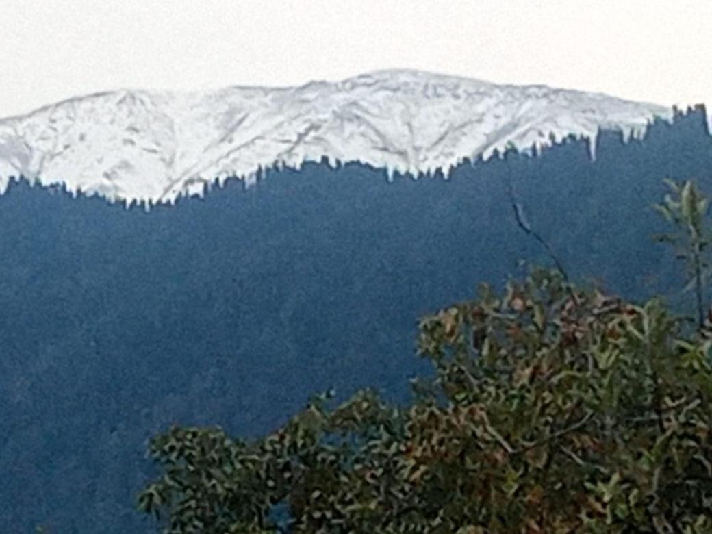 Gulmarg View Cottage