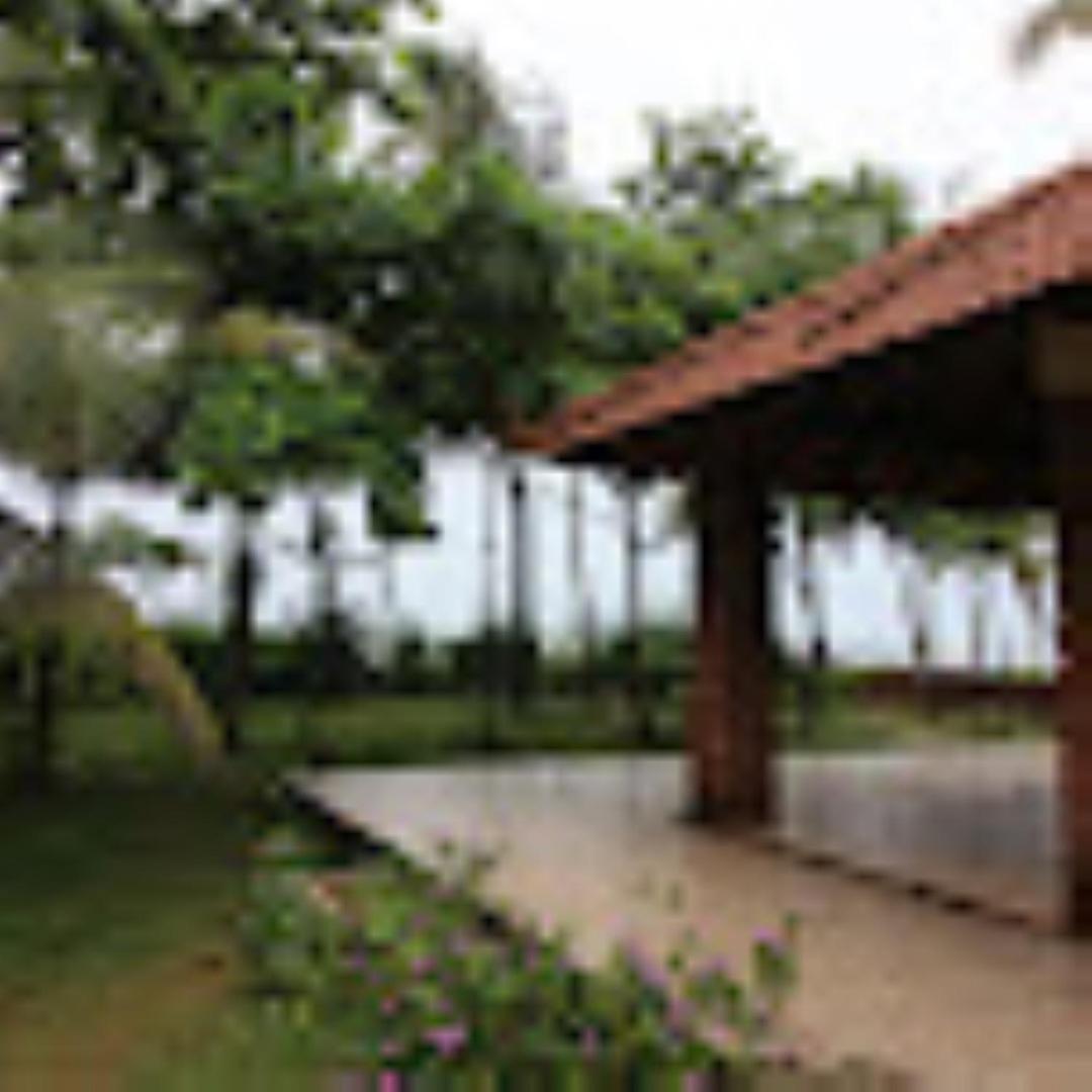 Coconut Creek Homestay,Kinnigoli view 4