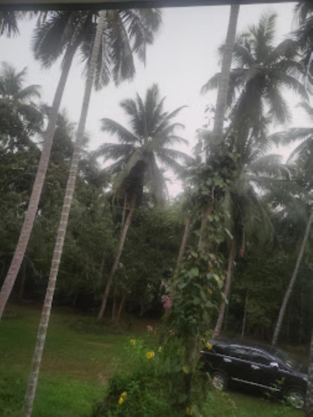 Coconut Creek Homestay,Kinnigoli view 5