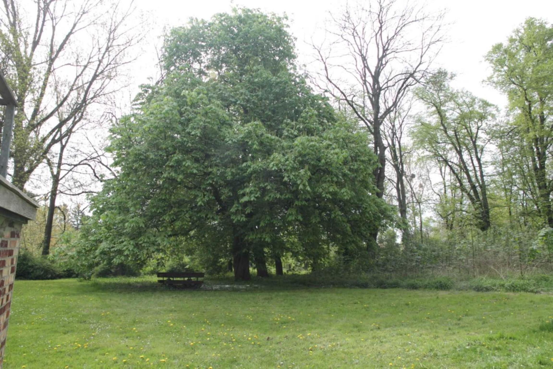 Gutshaus Bartelshagen