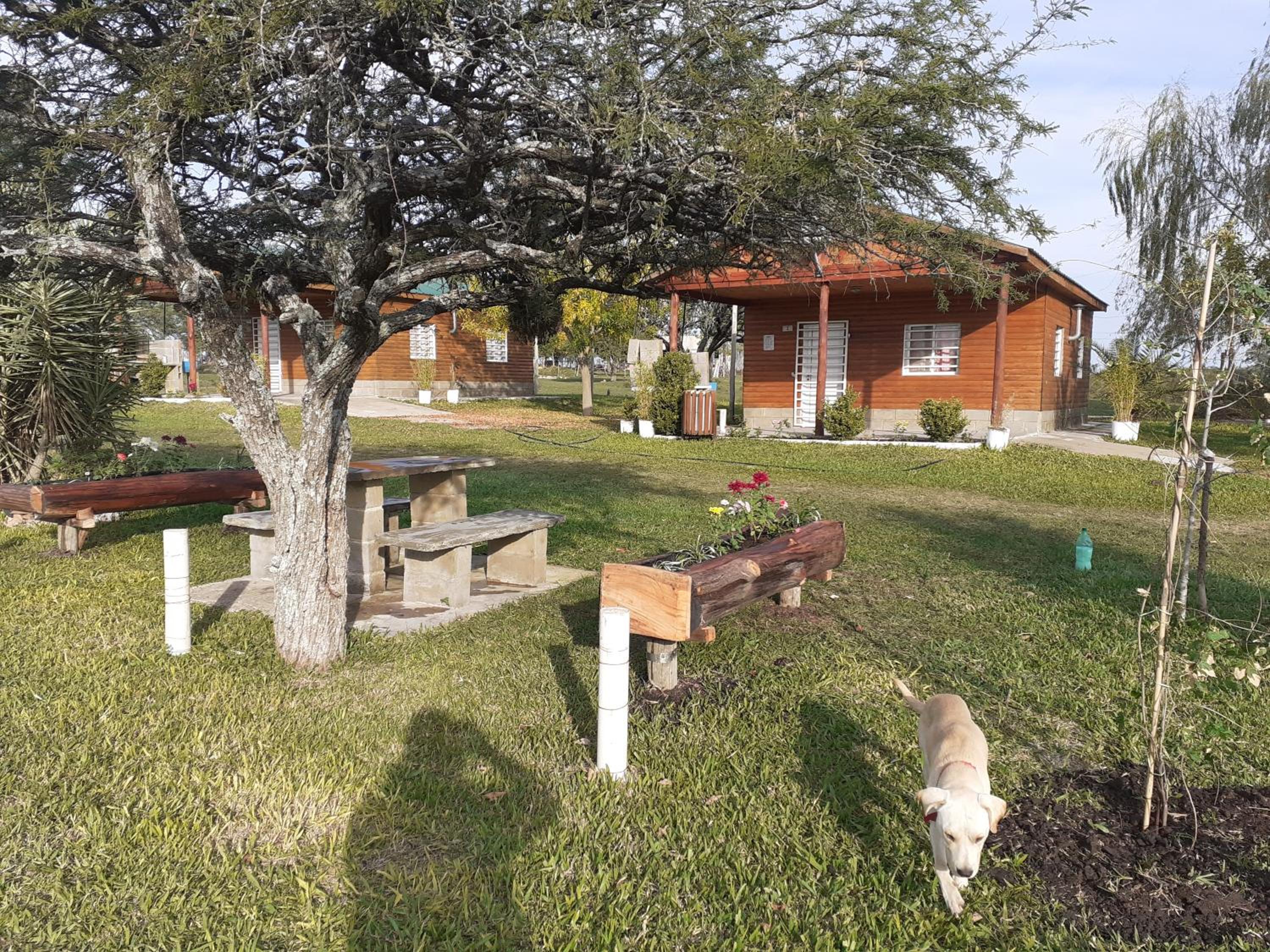Cabañas Aires de Campos
