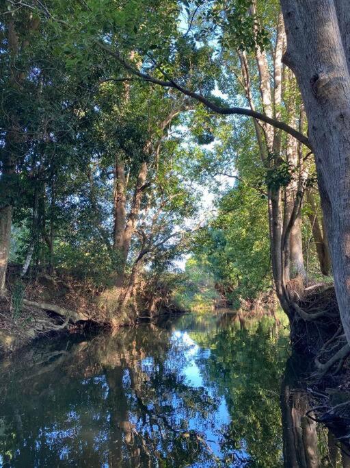 Figtree Creek Retreat