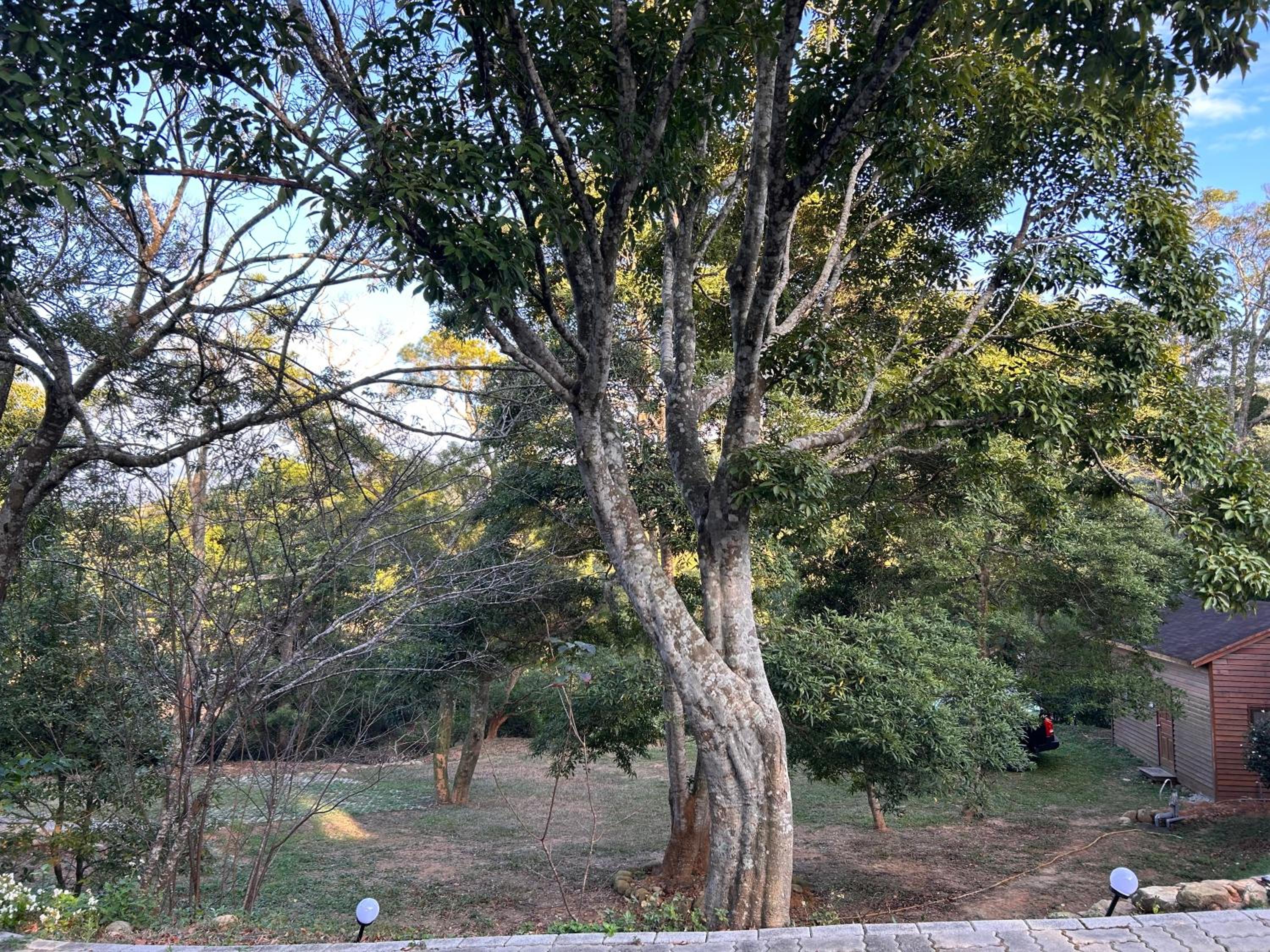 Photo 19