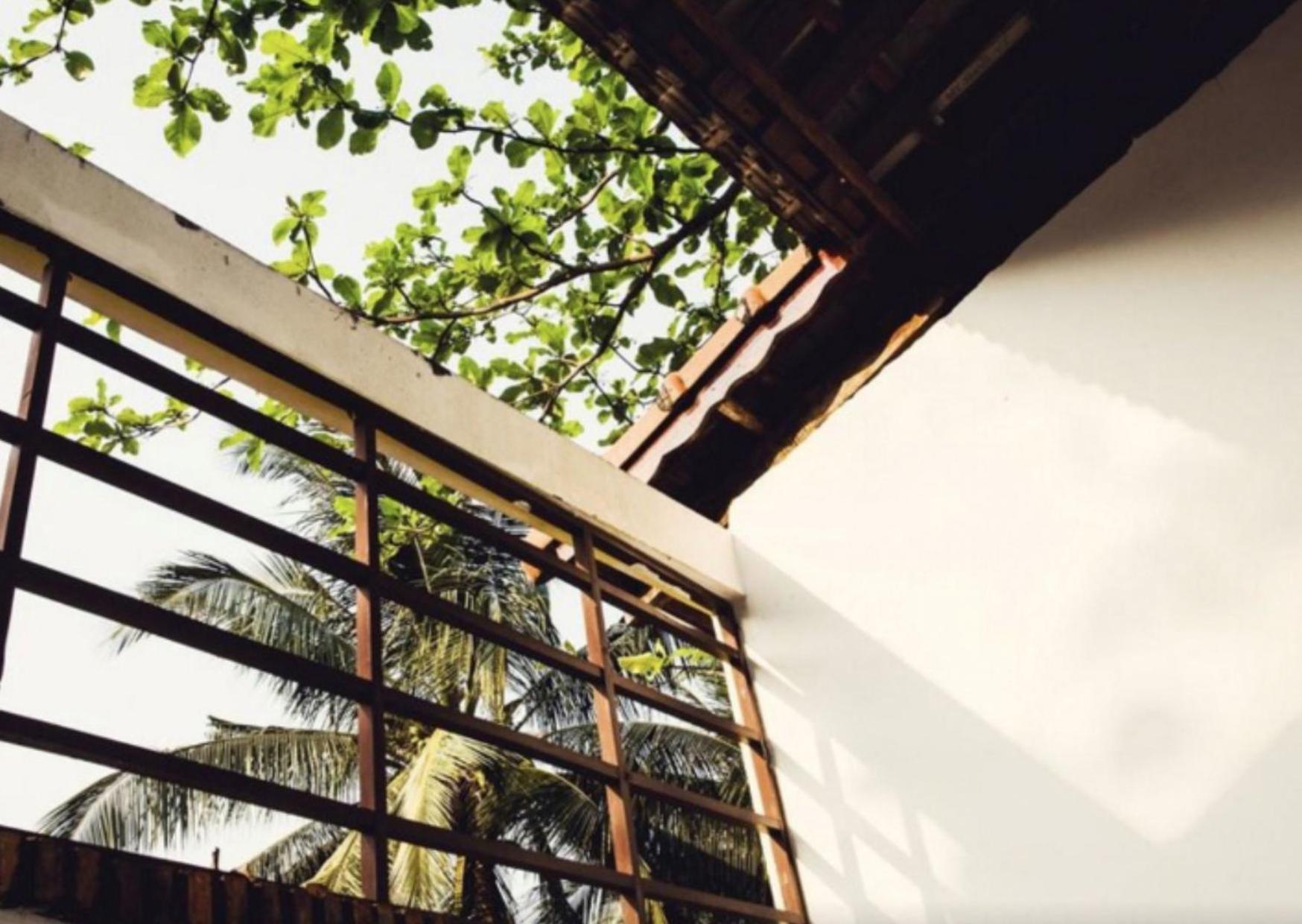 Bamboo Cottages