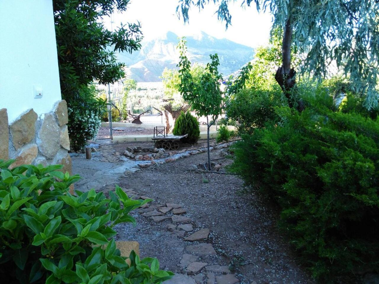 Photo 18