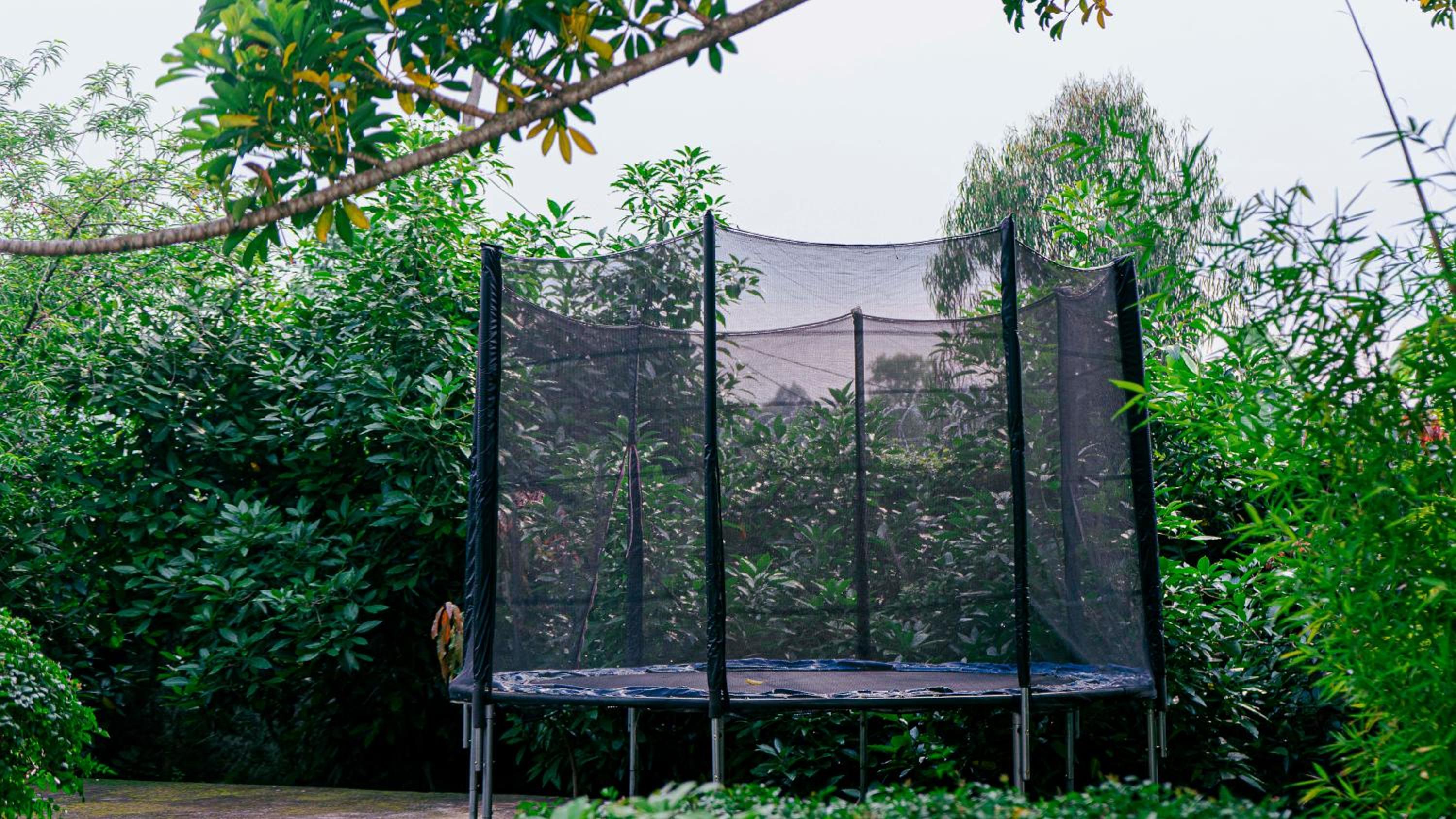 Photo 210