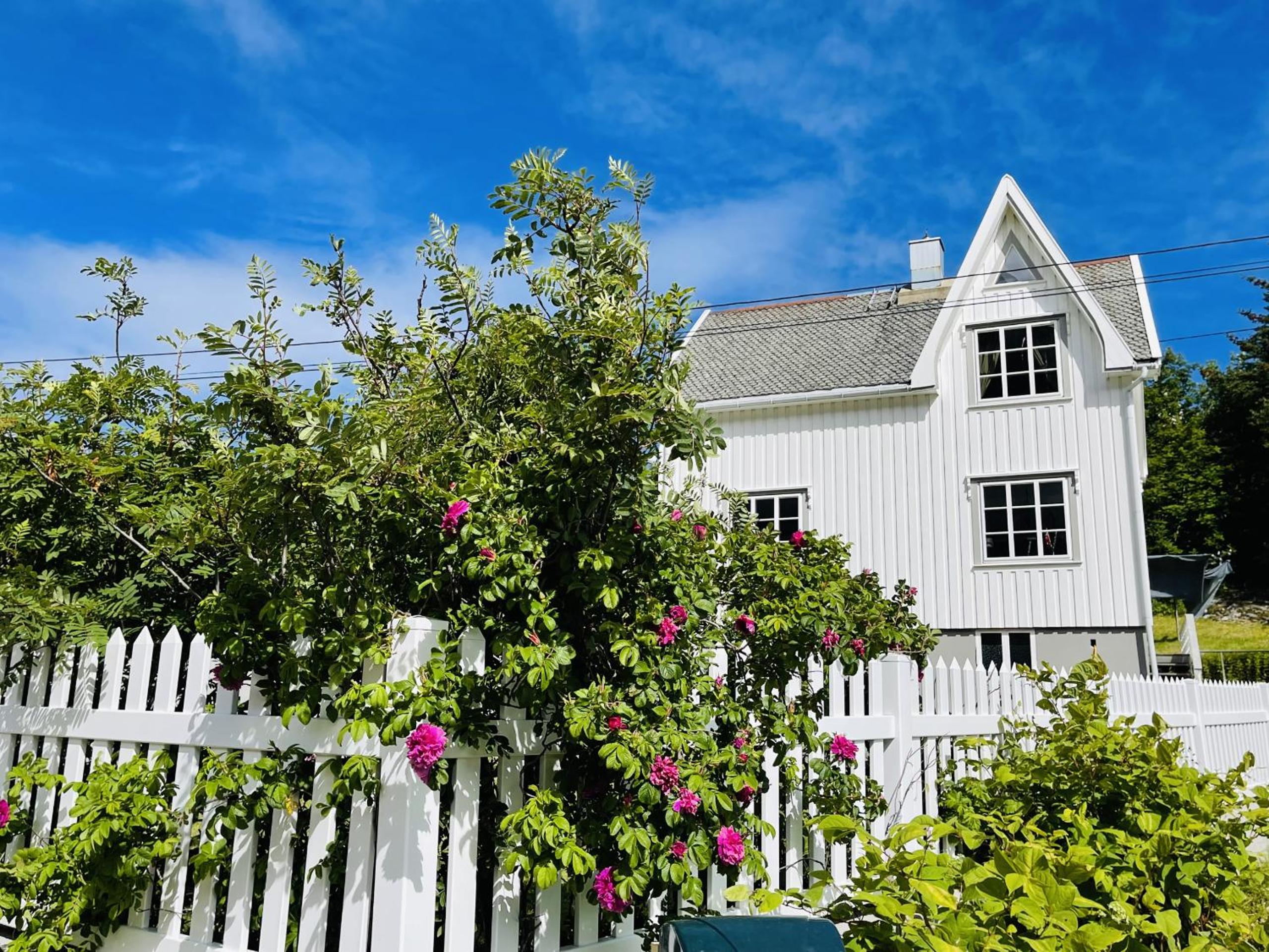 #Reinehuset - Amazing view! view 5