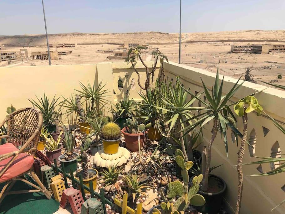SKY Rooftop Pyramids View