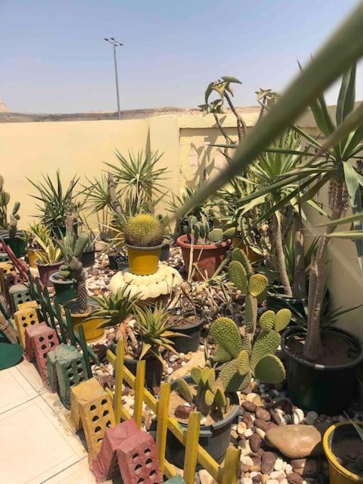SKY Rooftop Pyramids View
