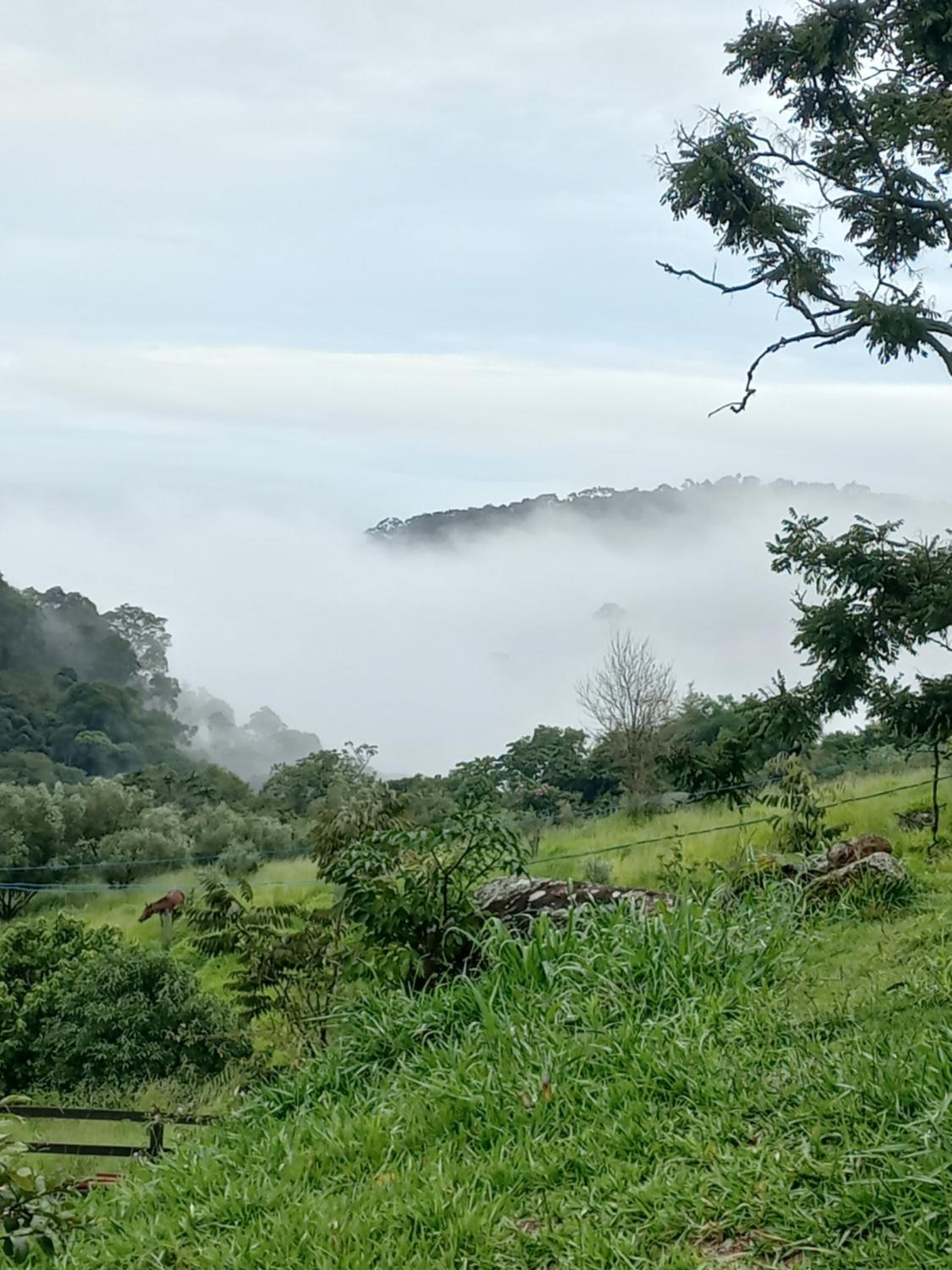 Chalé Araucária- Vale das Pedras MG