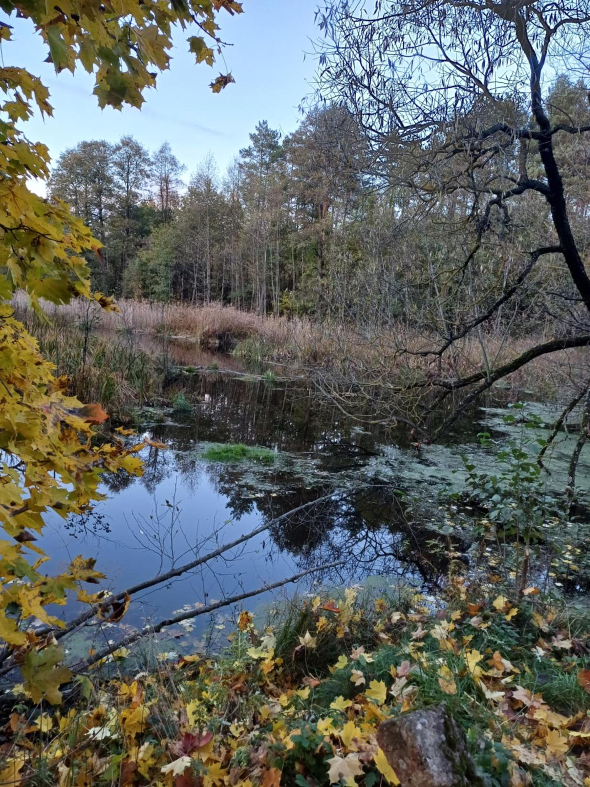 Photo 49