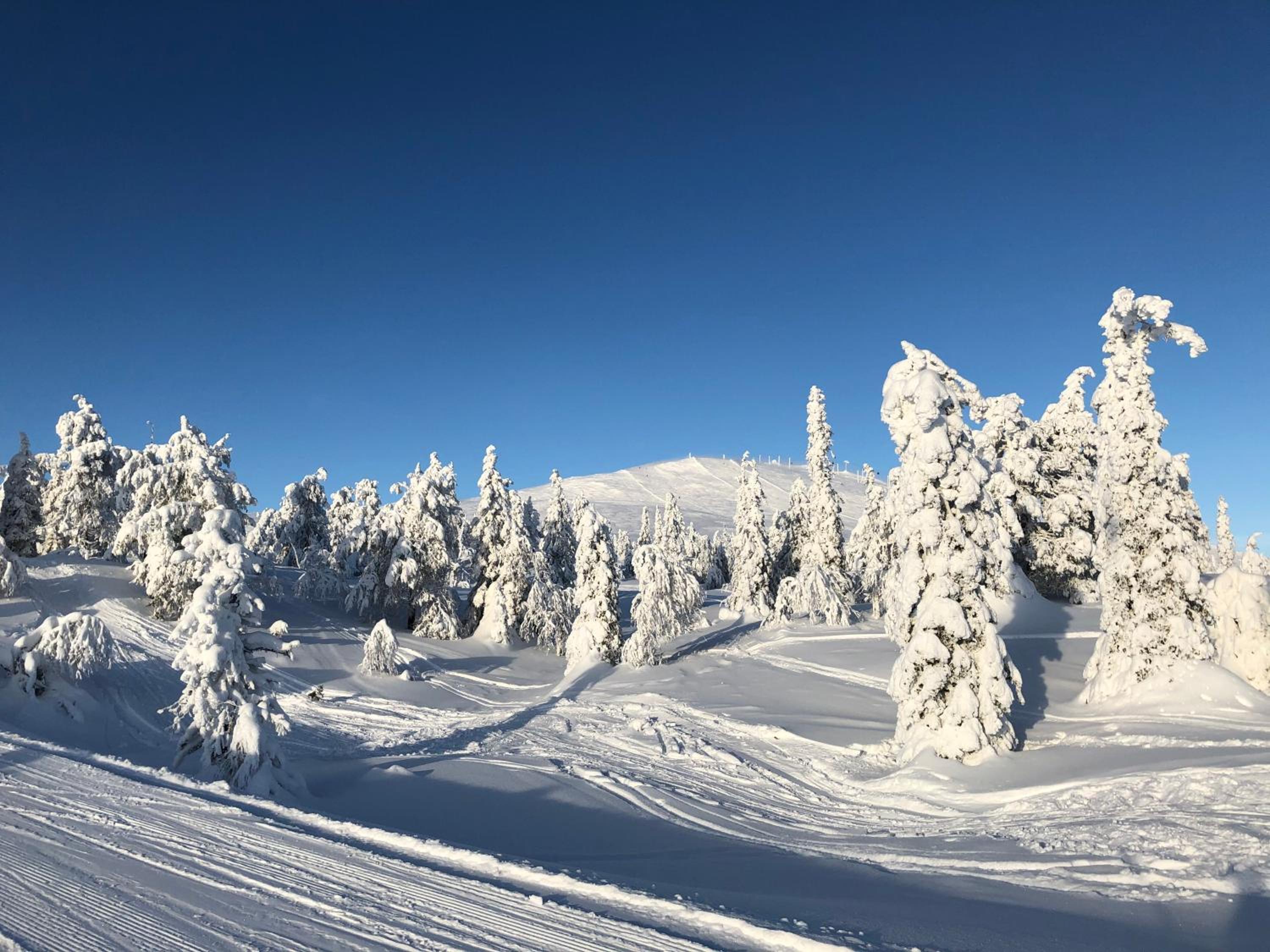 Holiday Home Ylläs Villas