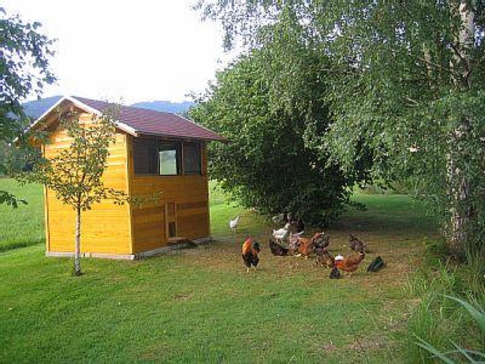 Photo 37