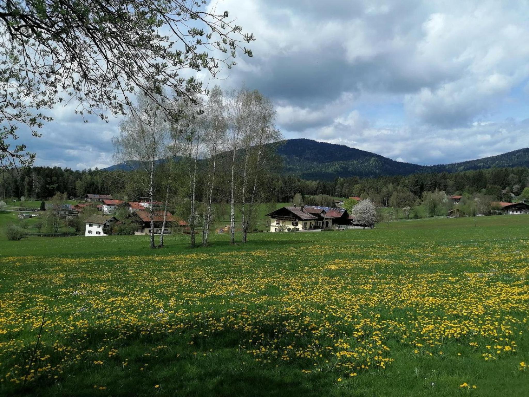 Photo 35