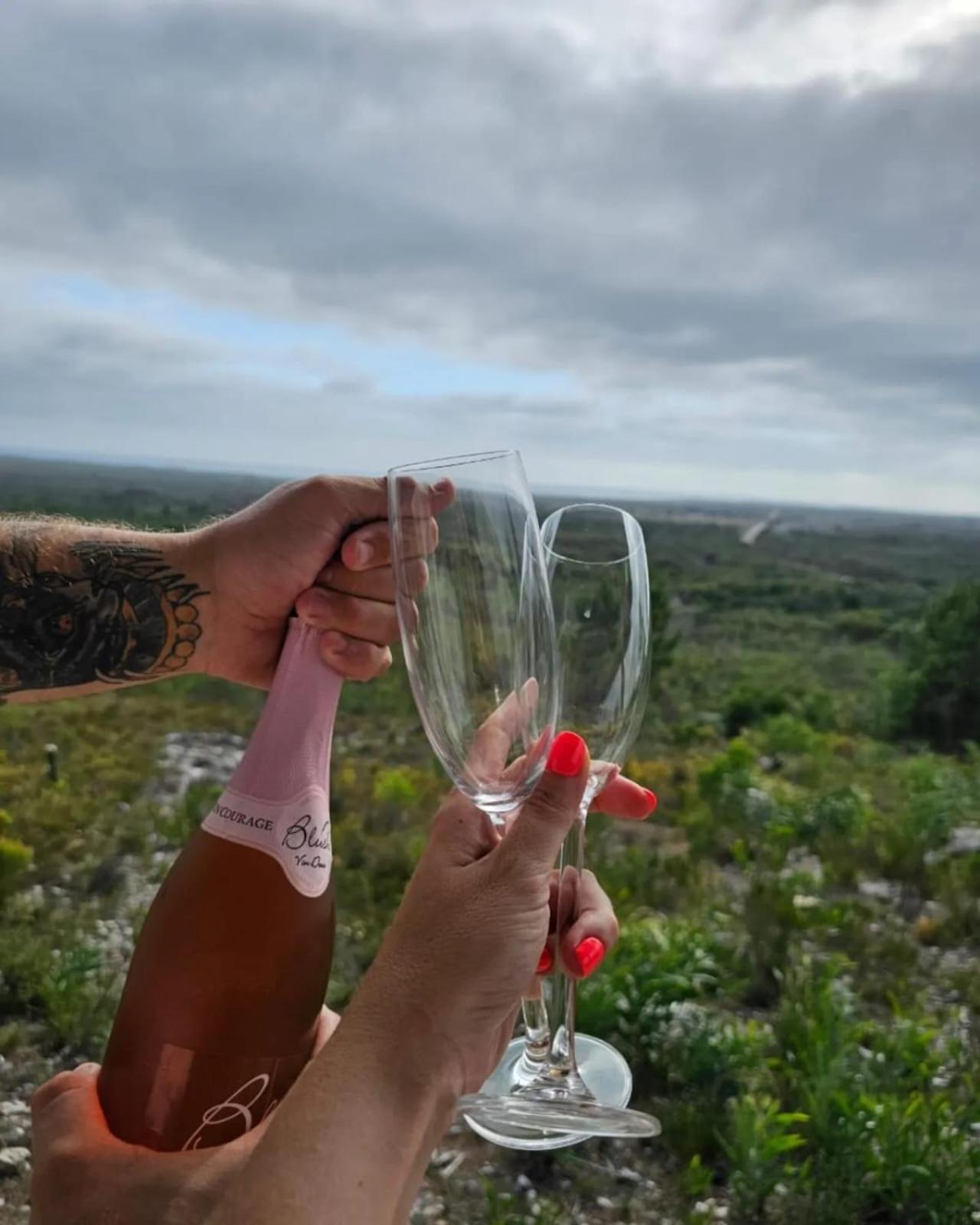 Baboon's View Cabin - Salted Fynbos Staying view 3