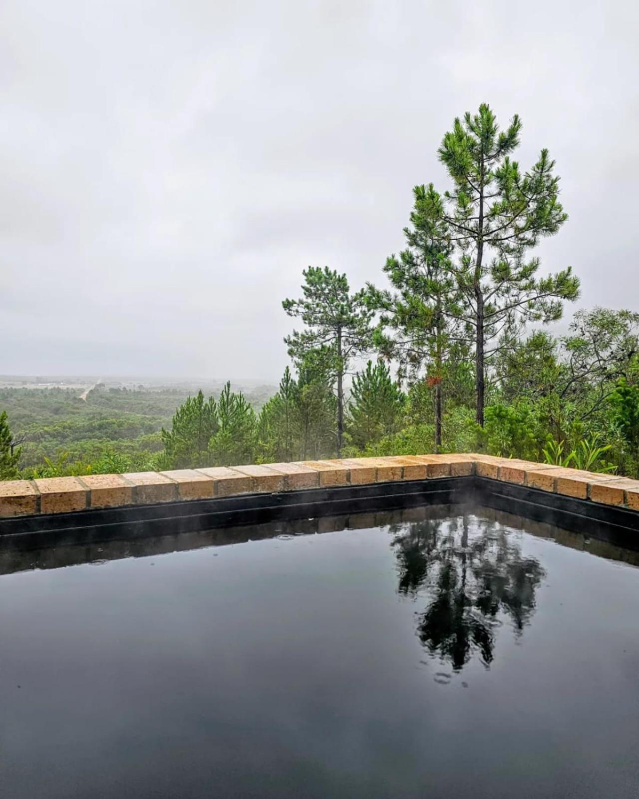 Baboon's View Cabin - Salted Fynbos Staying view 4