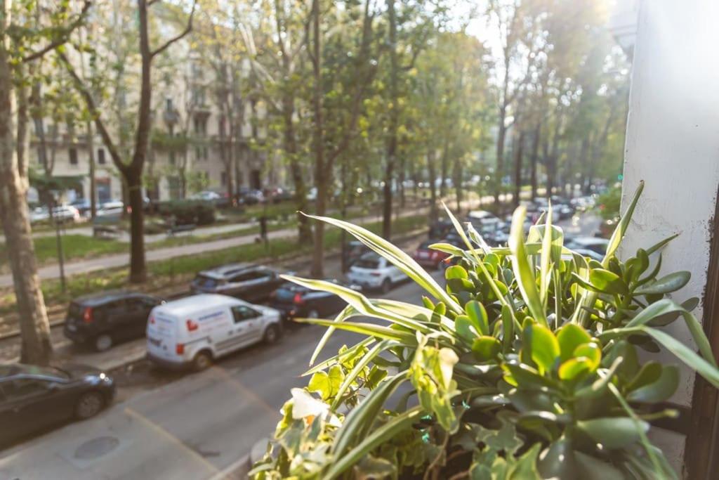 Ampia oasi a Porta Venezia: Casa in Milano centro