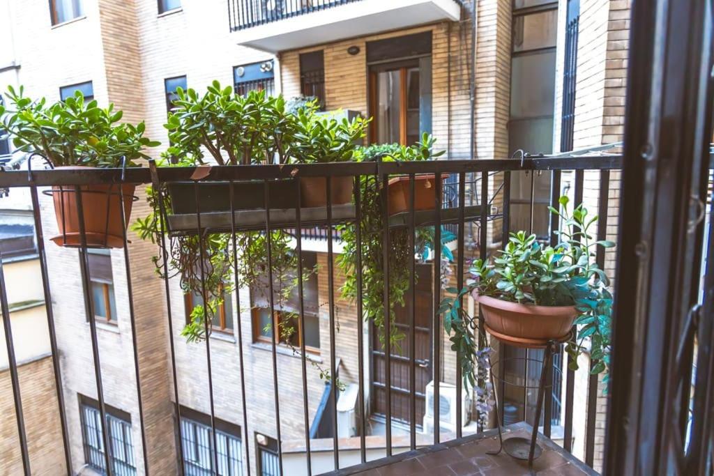 Ampia oasi a Porta Venezia: Casa in Milano centro