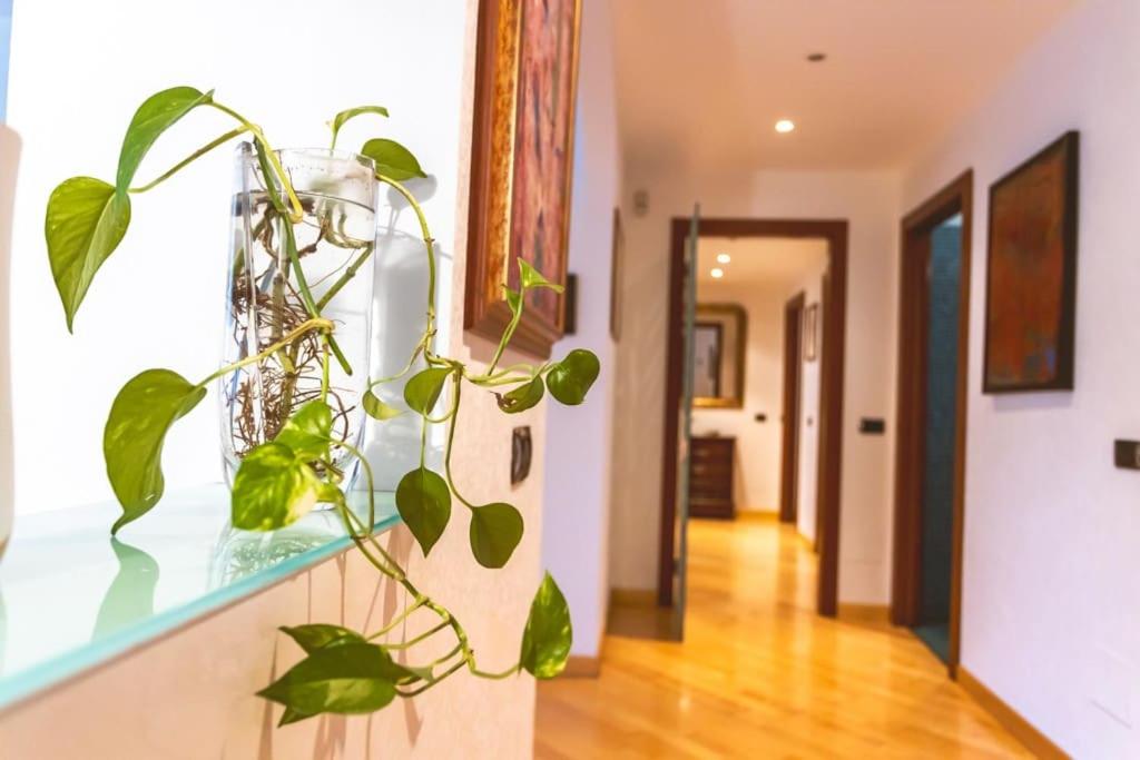 Ampia oasi a Porta Venezia: Casa in Milano centro