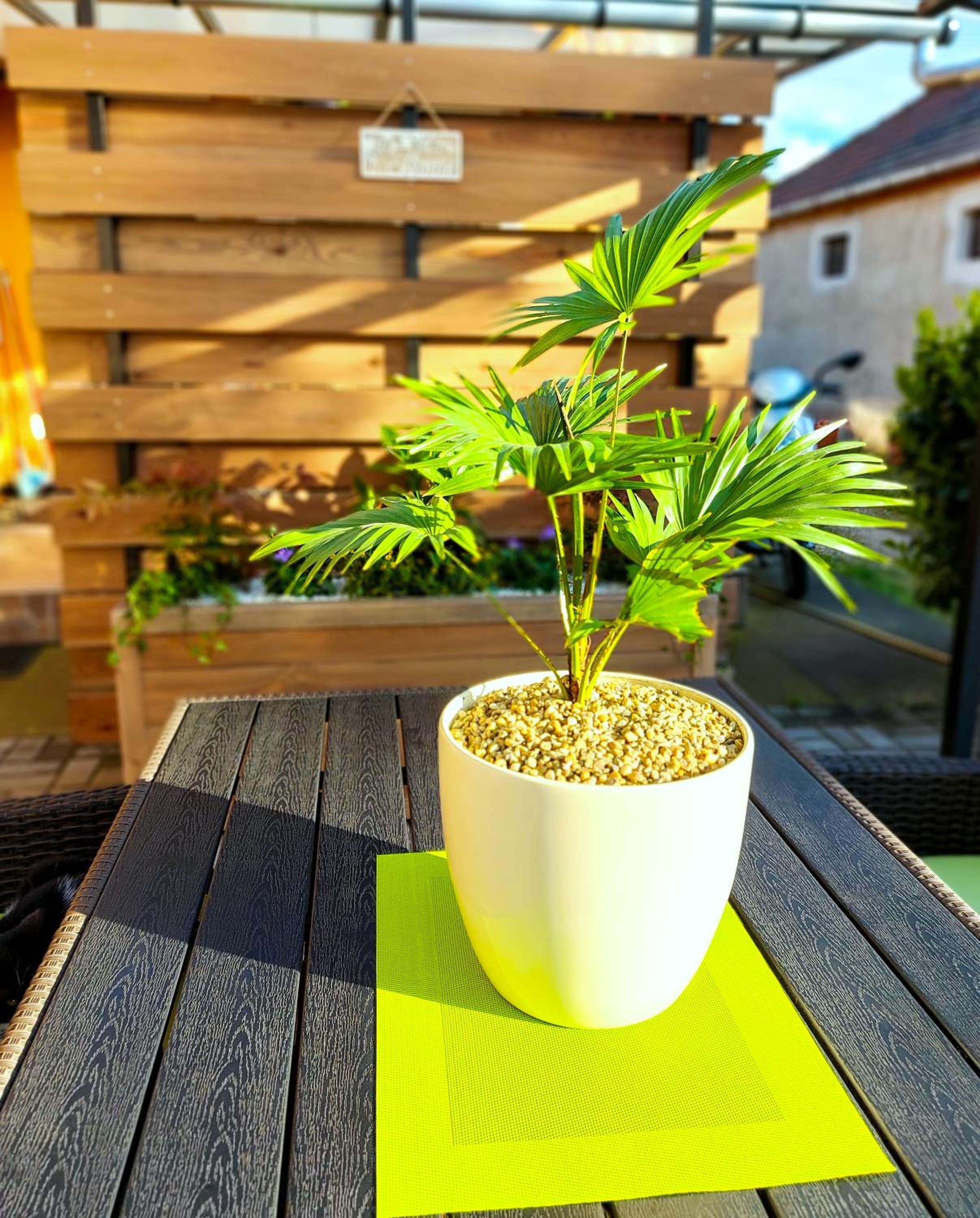 Kitti Apartman