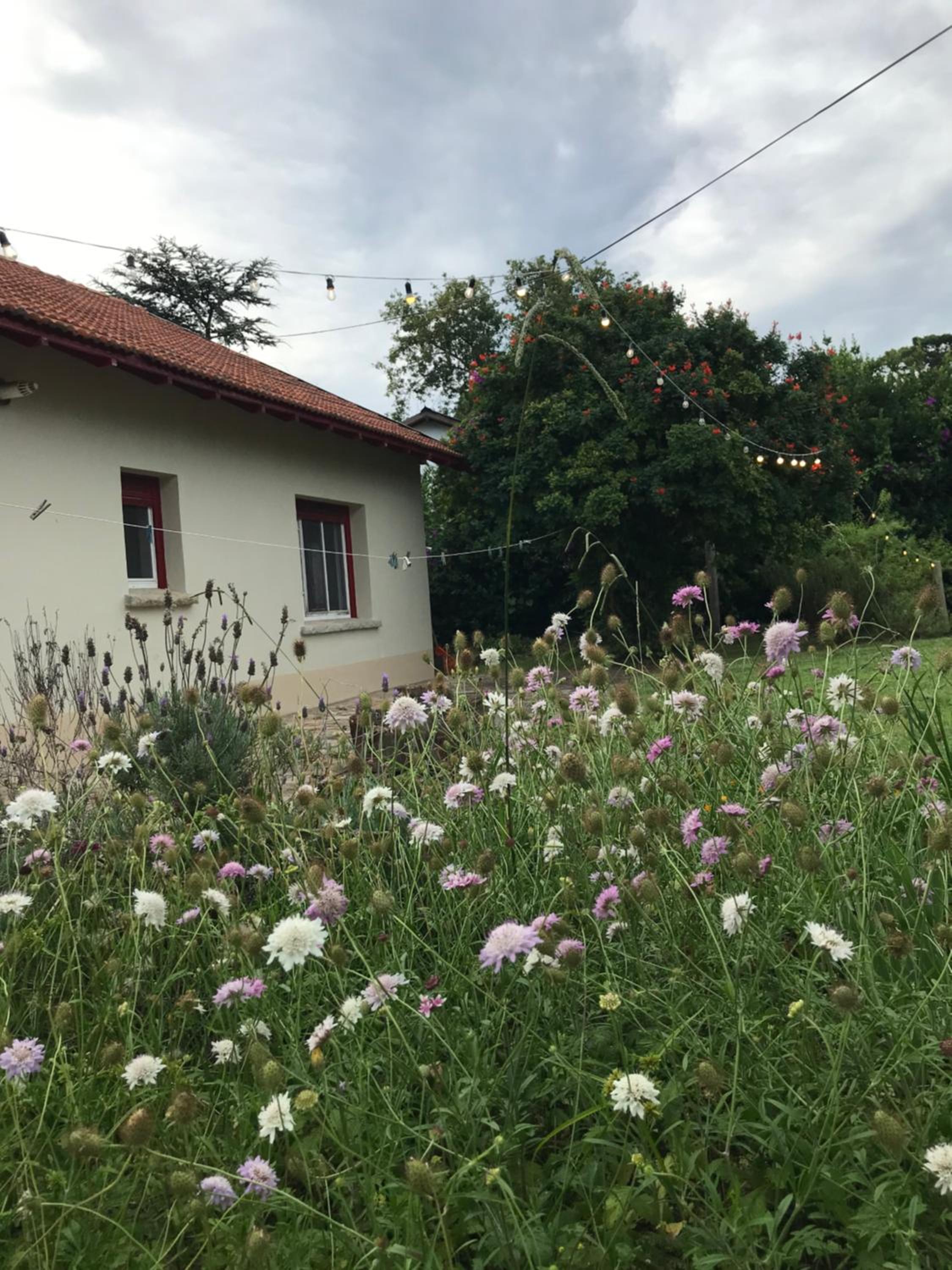 CHALET MOTTER