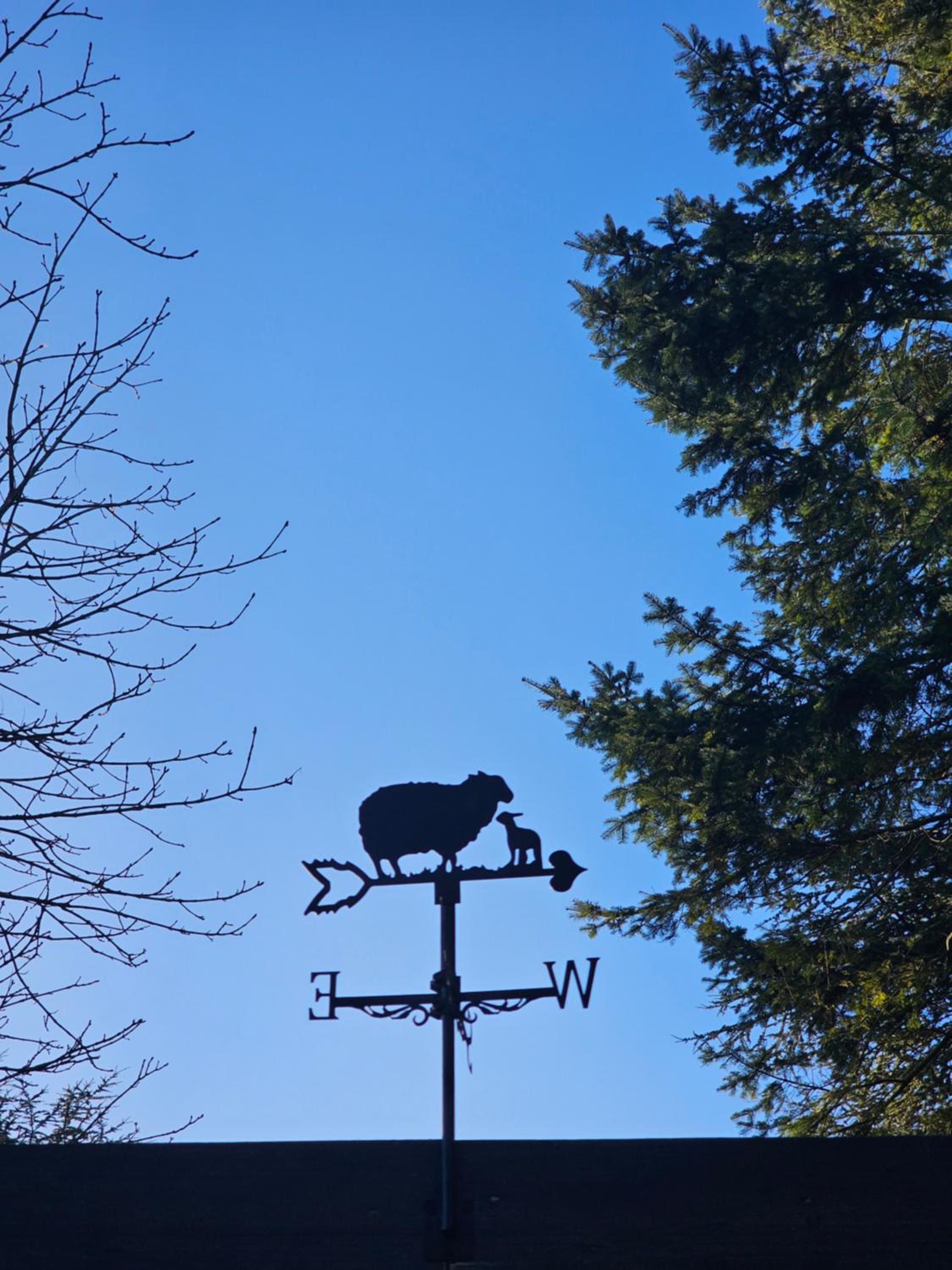 Rectory Roost